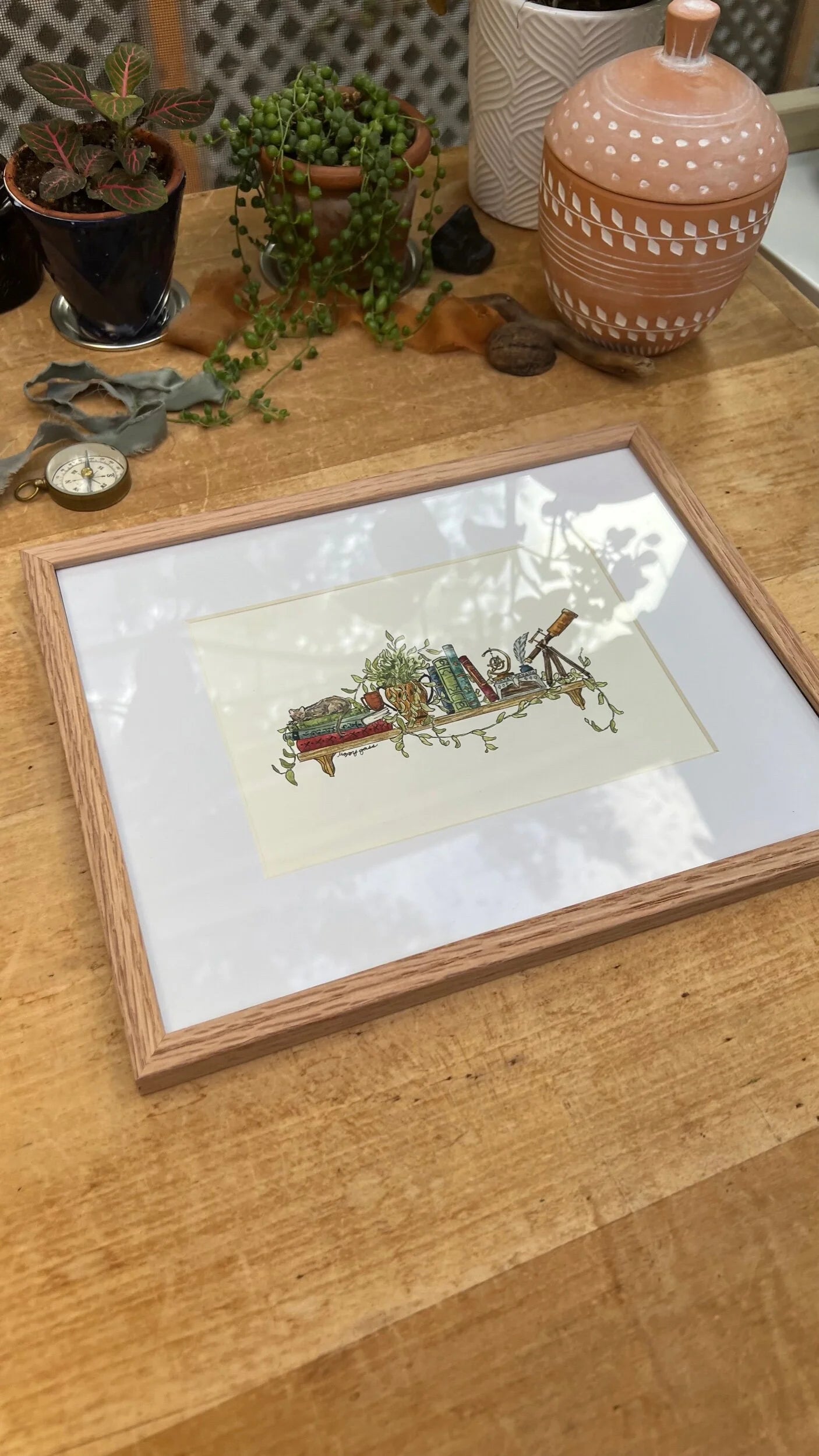 Framed Original Mini Astronomer's Shelf Illustration