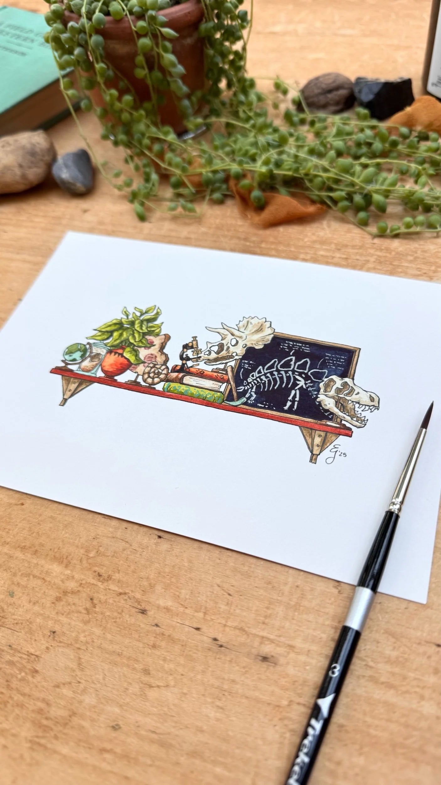 Original Mini Paleontologist's Shelf Illustration