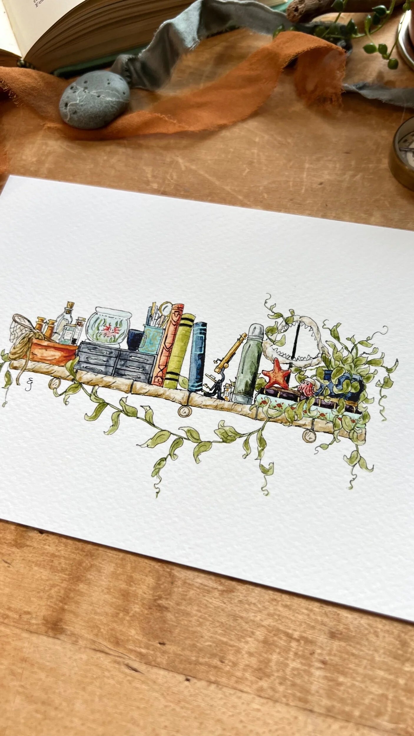 The Mini Marine Biologist's Shelf Giclée Print