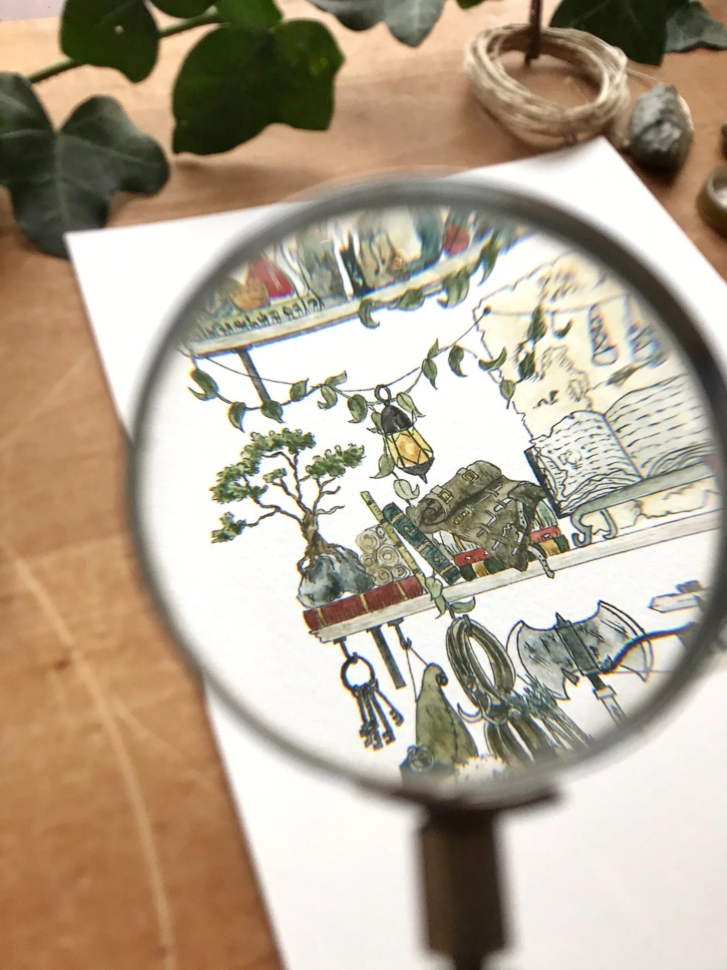 The Adventurer's Shelves Giclée Print