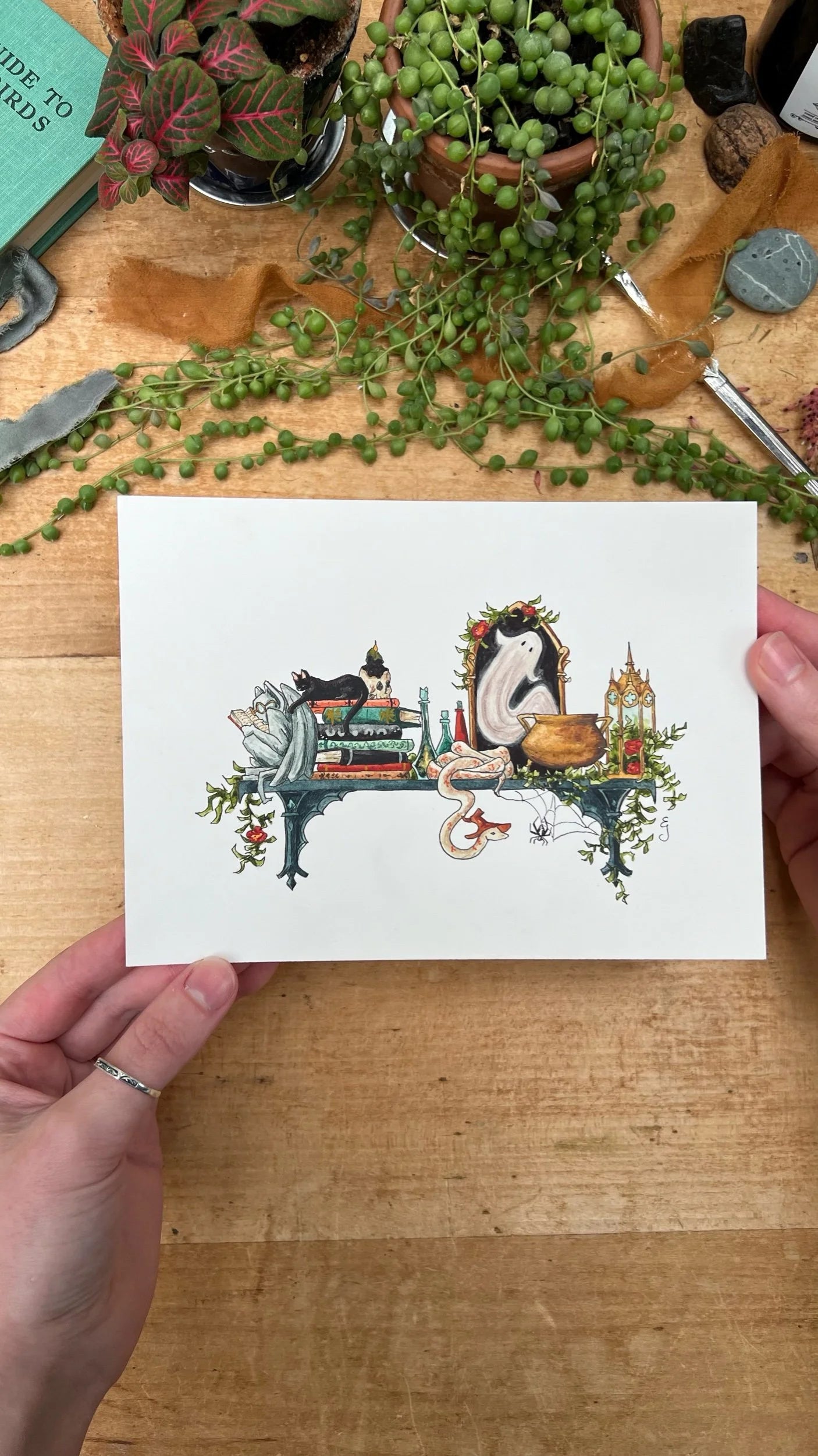 Original Mini Gothic Witch's Shelf Illustration