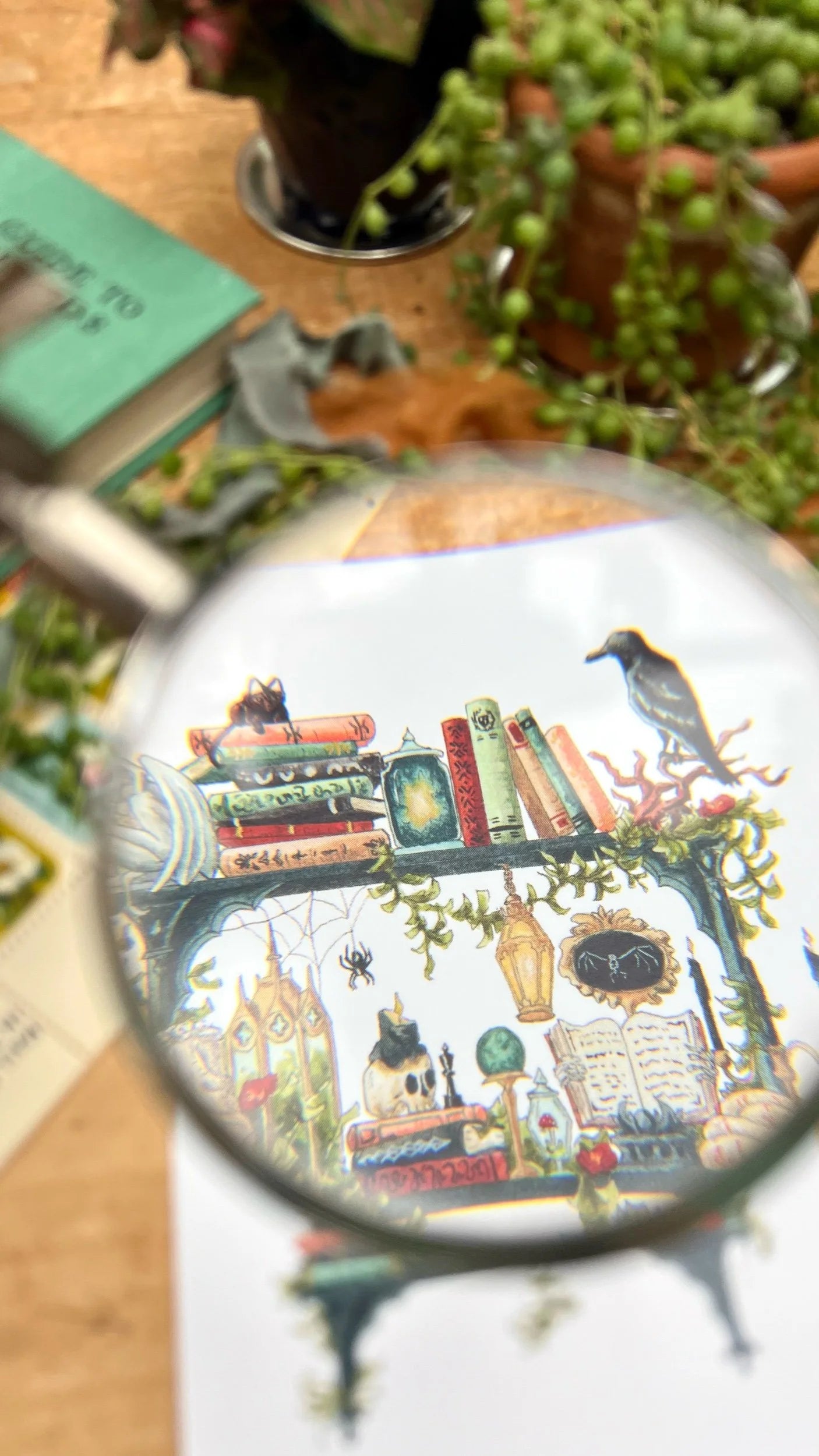 The Gothic Witch's Shelves Postcard