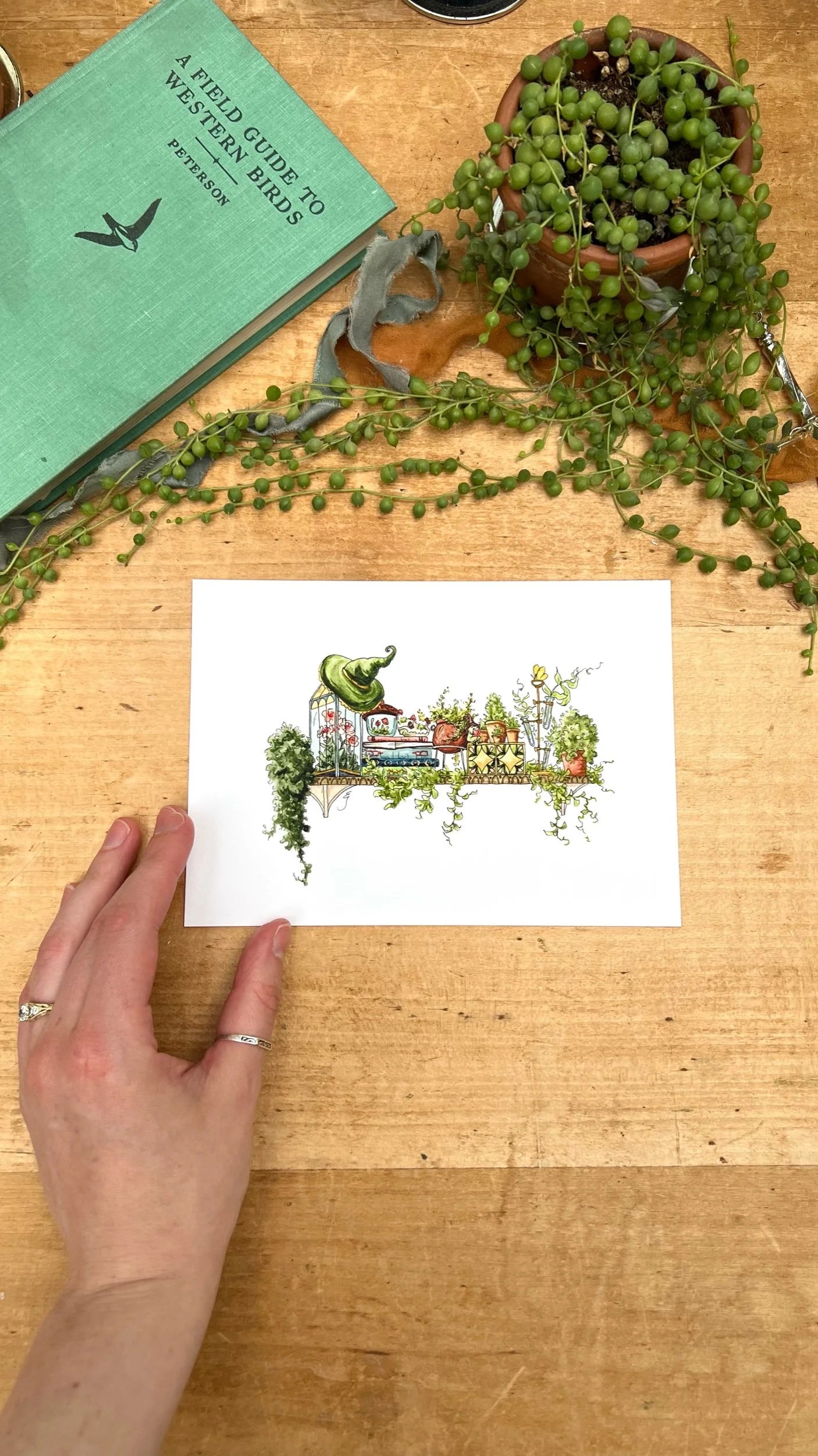 The Mini Garden Witch's Shelf Giclée Print