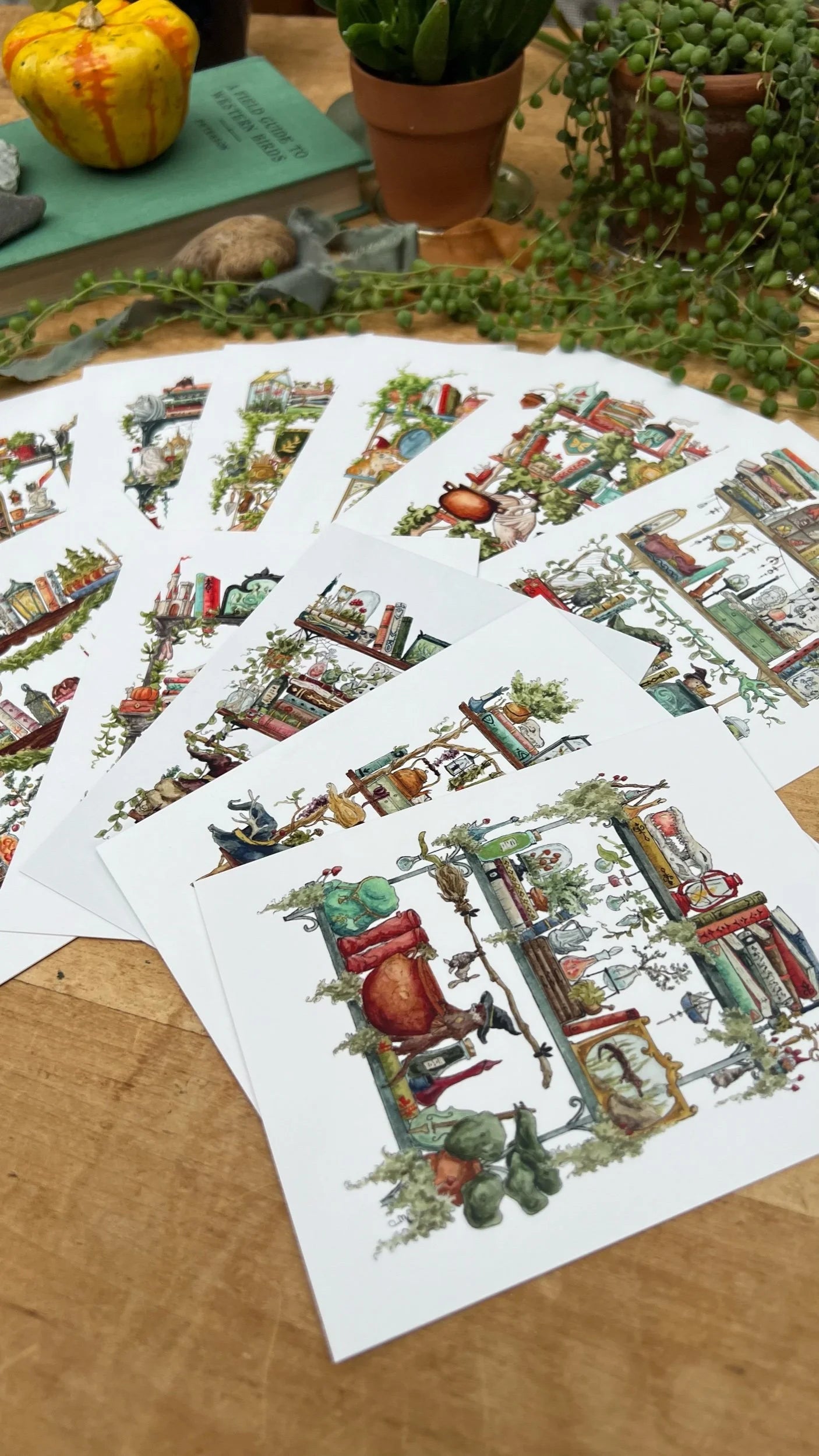 Witches Postcards Box Set