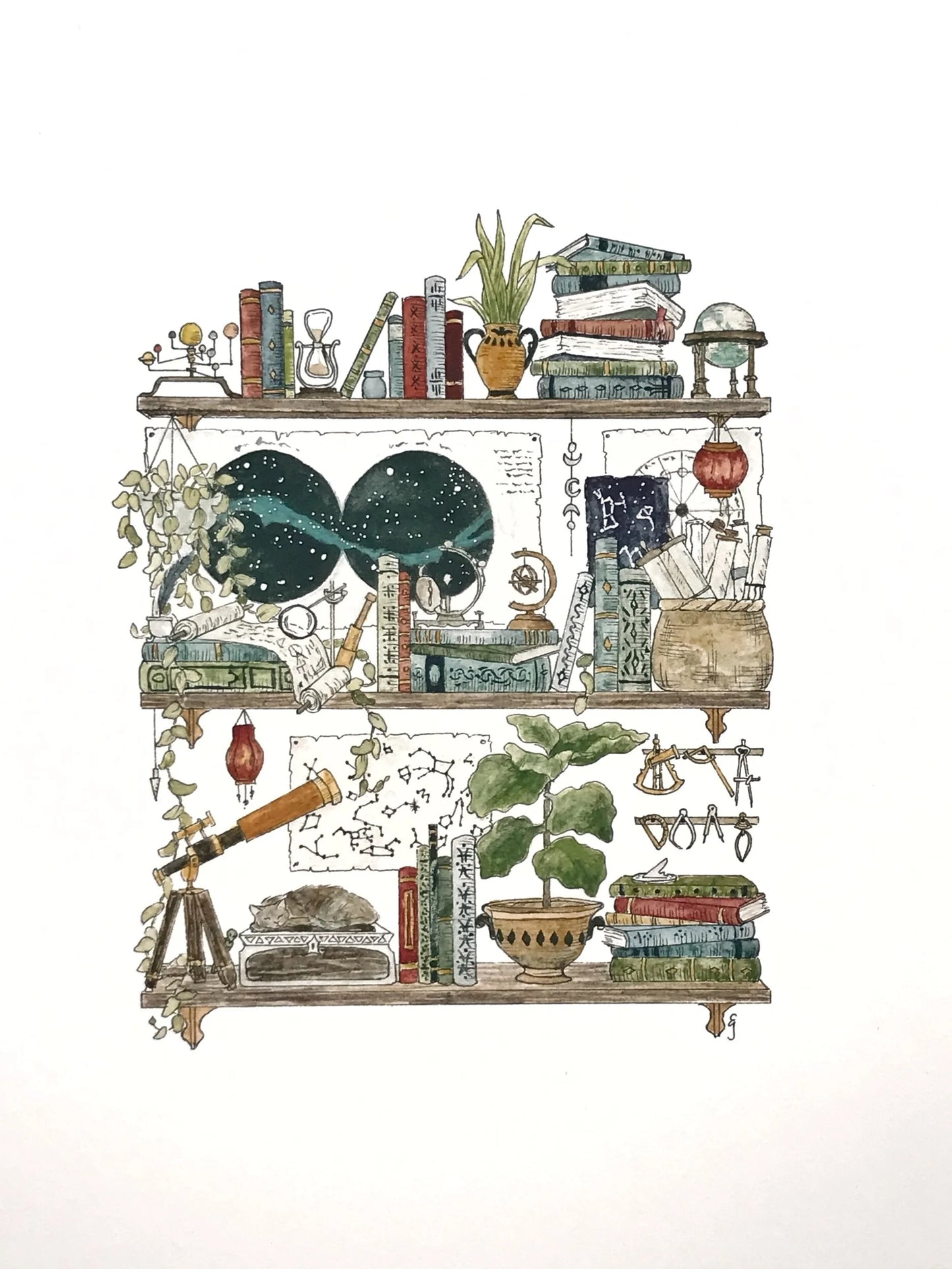 The Astronomer's Shelves Giclée Print