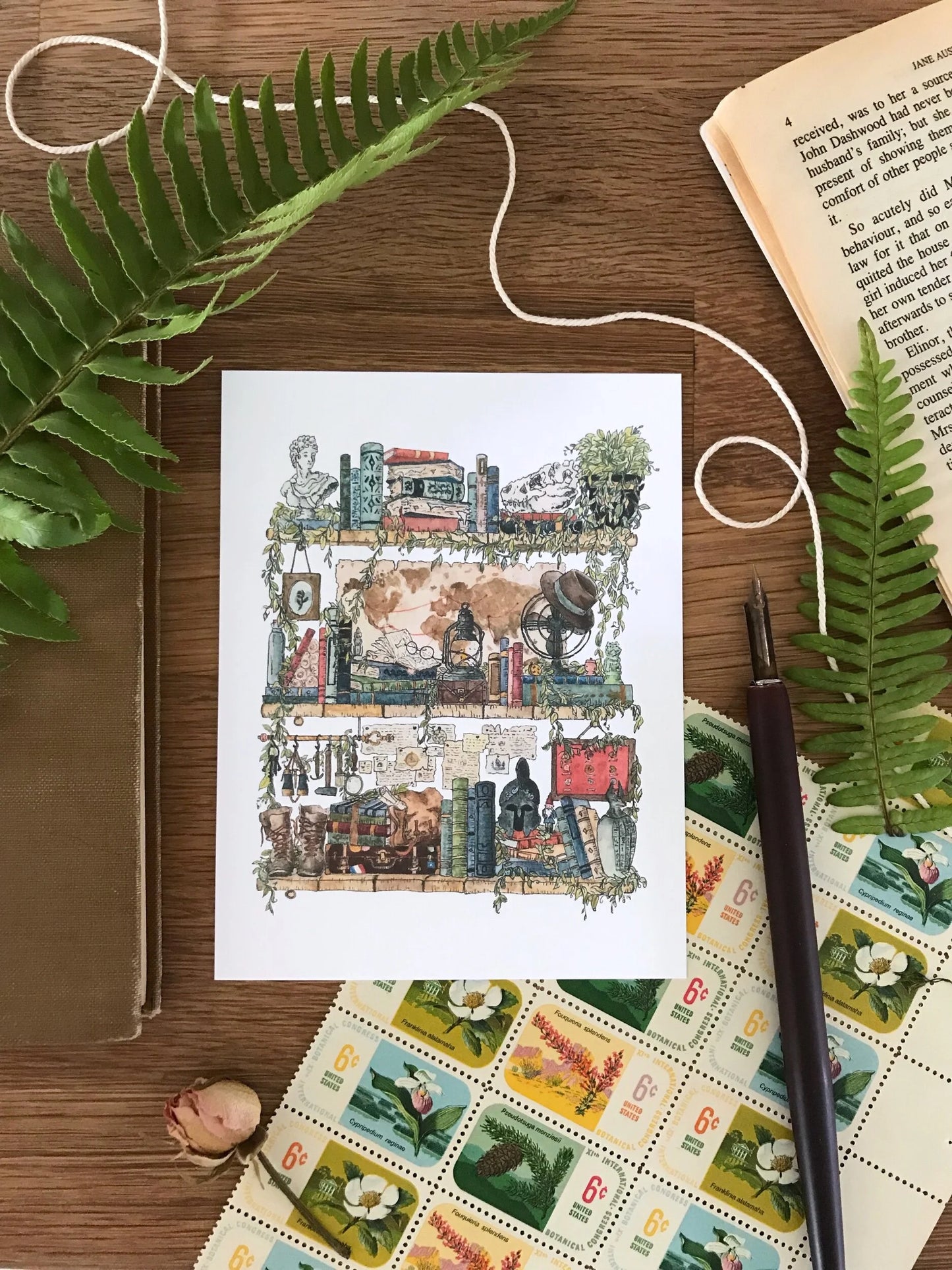 The Archaeologist's Shelves Postcard