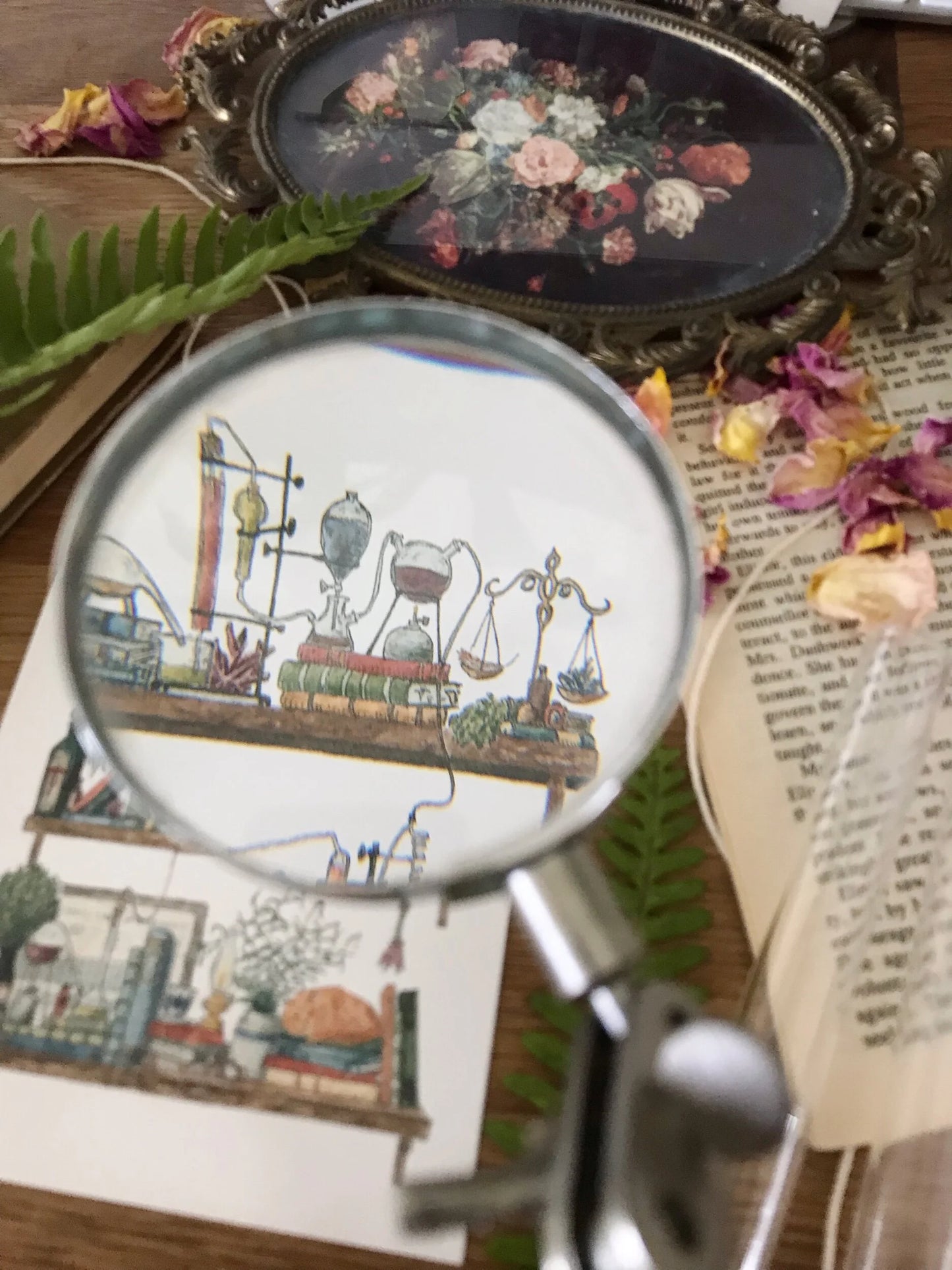 The Chemist's Shelves Postcard