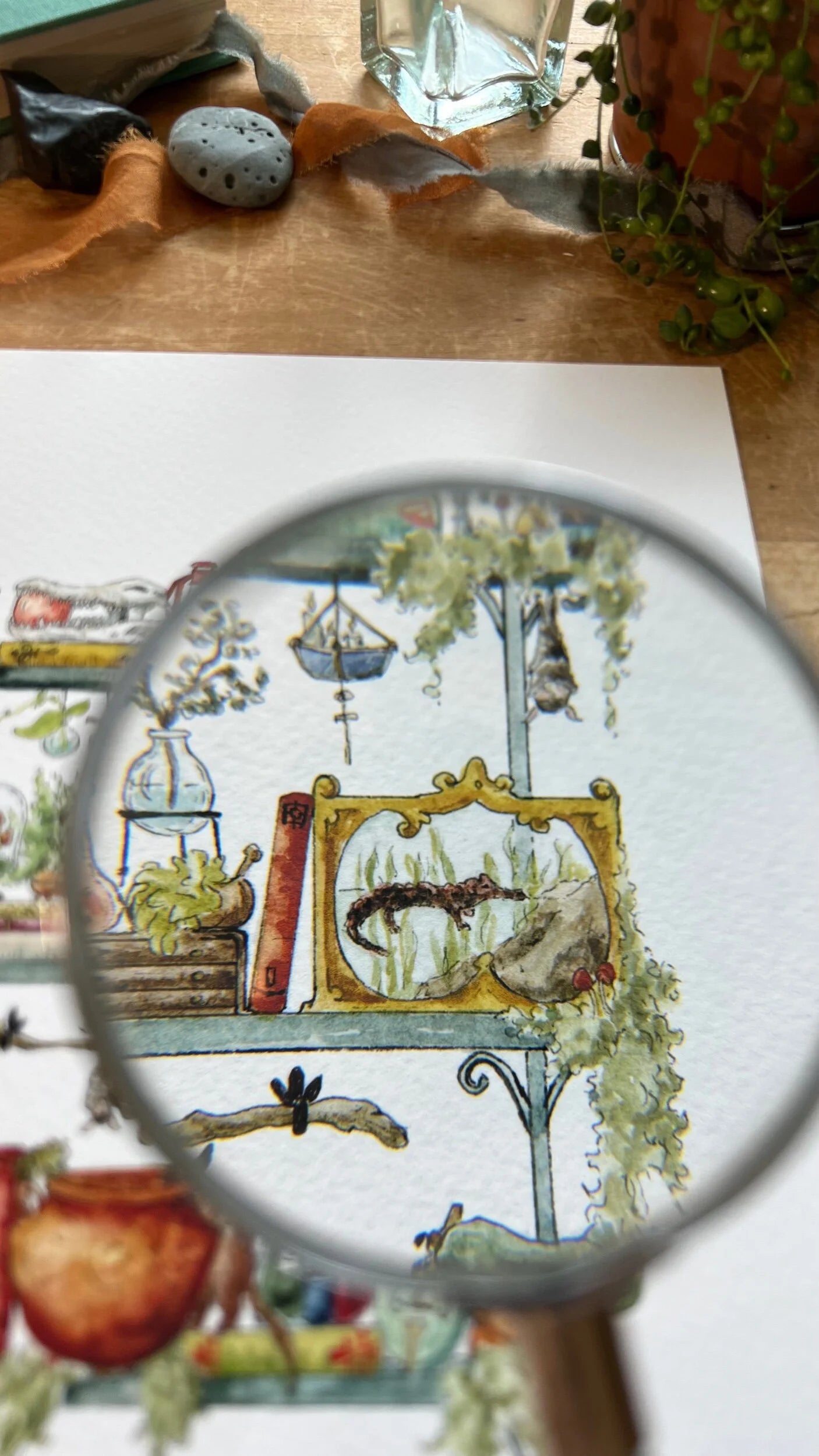 The Swamp Witch's Shelves Giclée Print