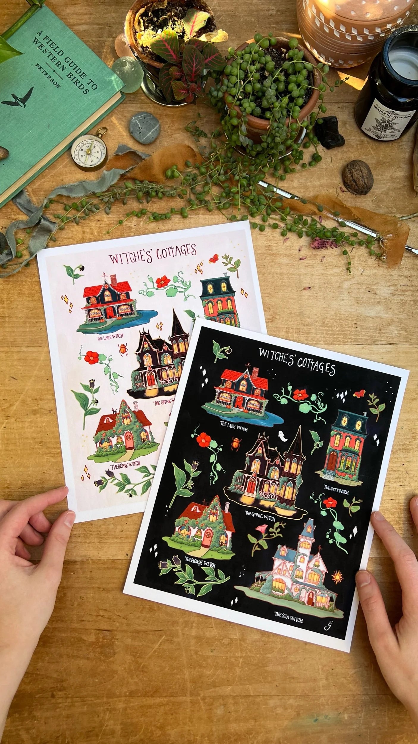 Witches' Cottages Field Report Giclée Print