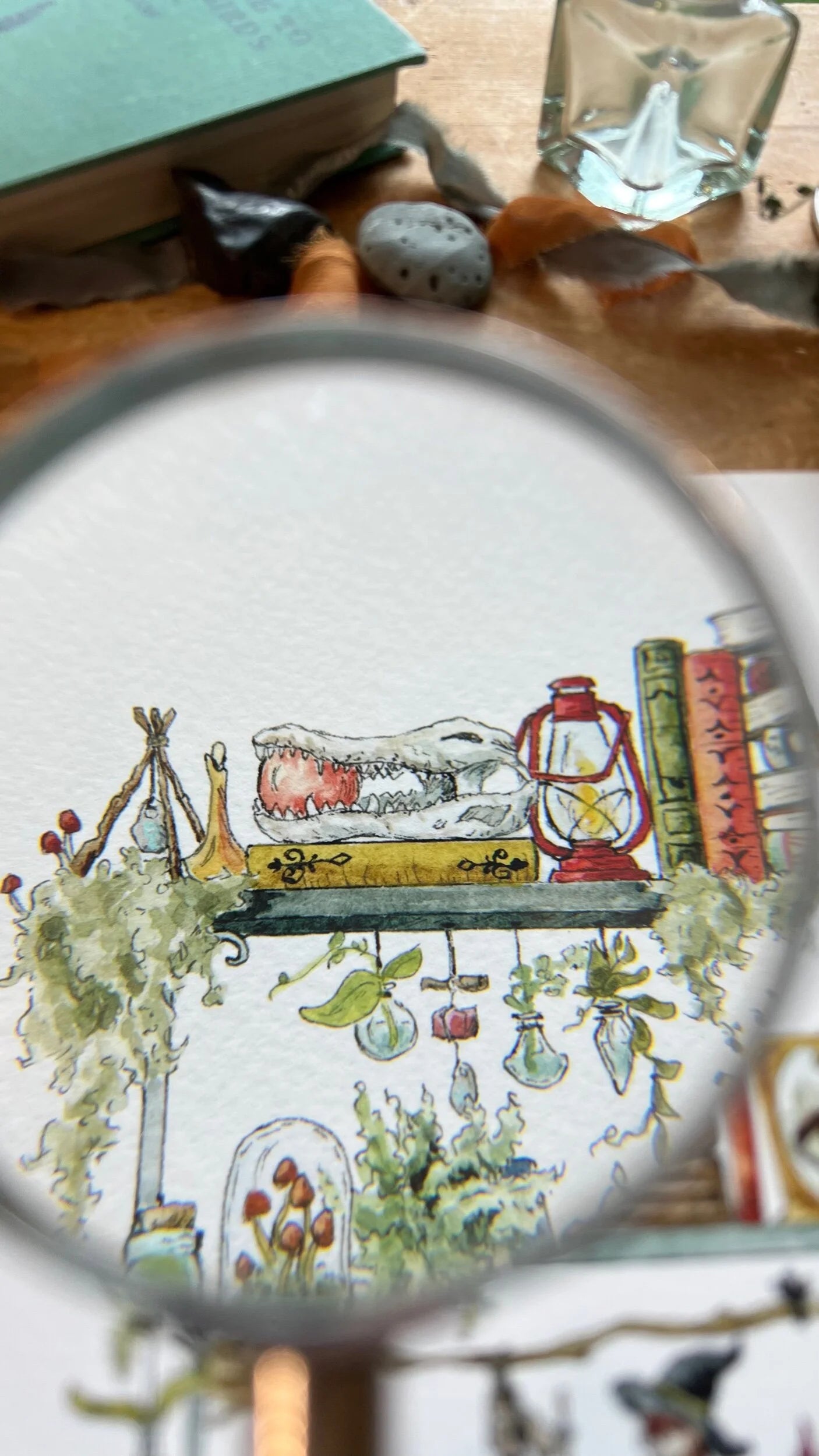 The Swamp Witch's Shelves Giclée Print
