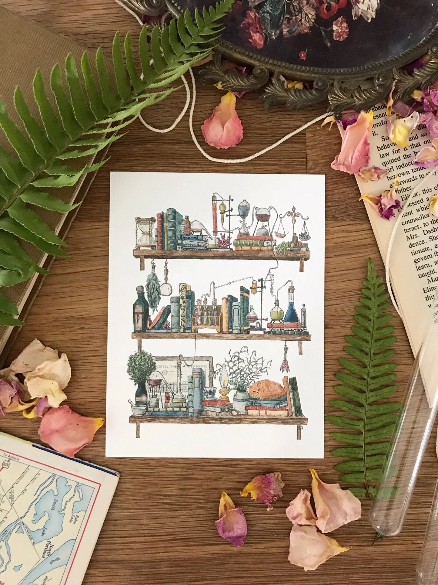 Vol. 1: Natural History Postcard Set