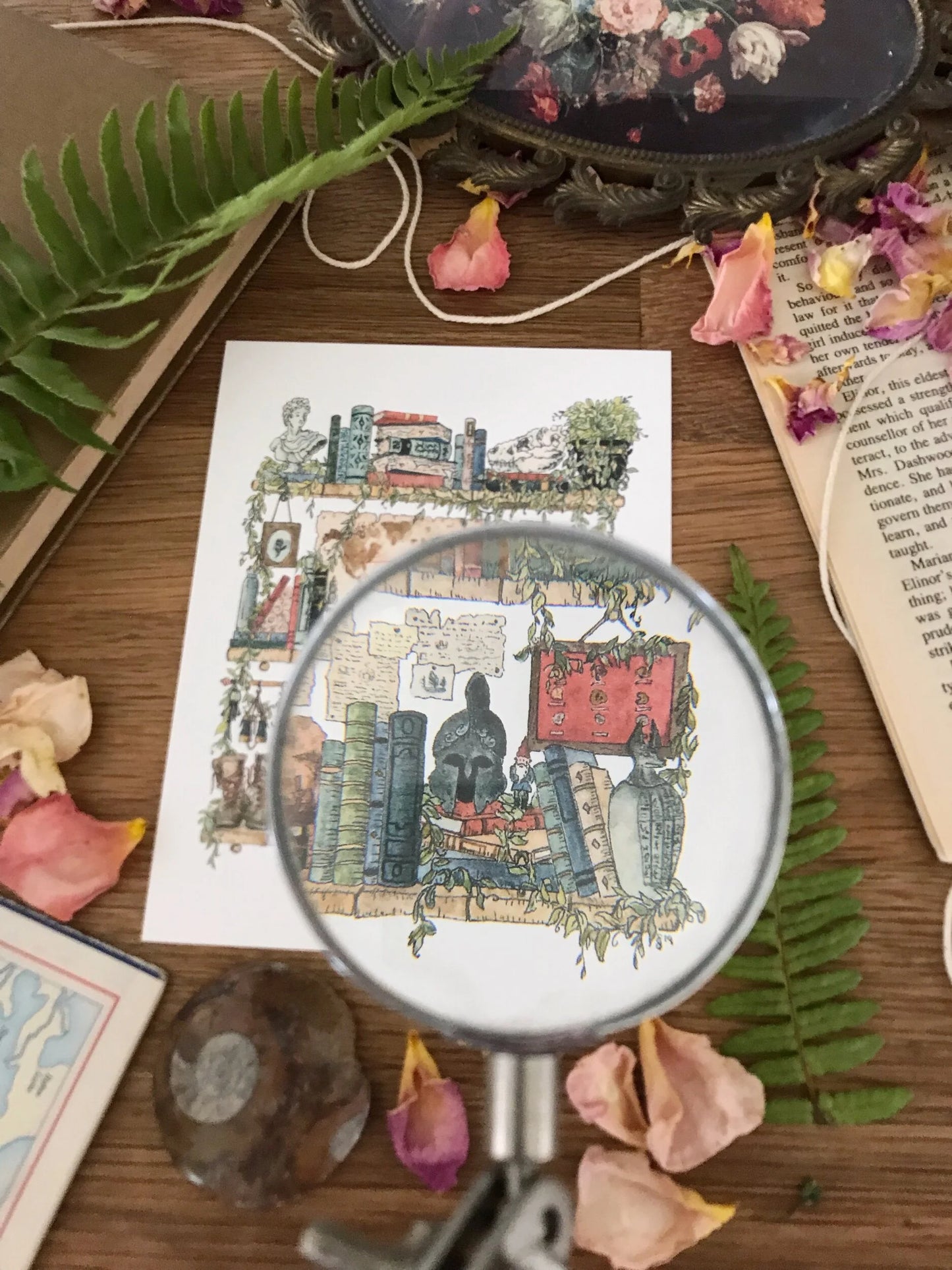 The Archaeologist's Shelves Postcard