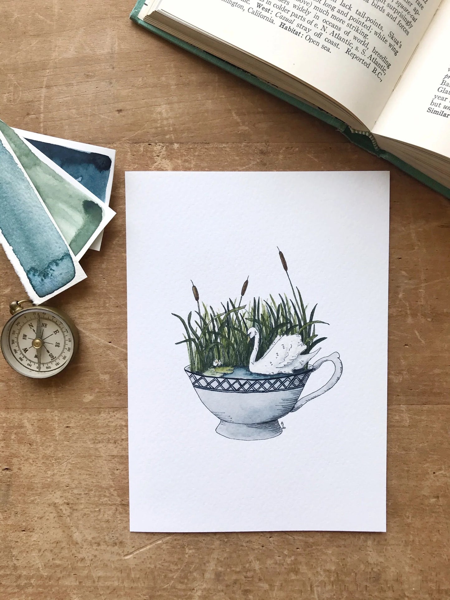Swan in a Teacup Giclée Print