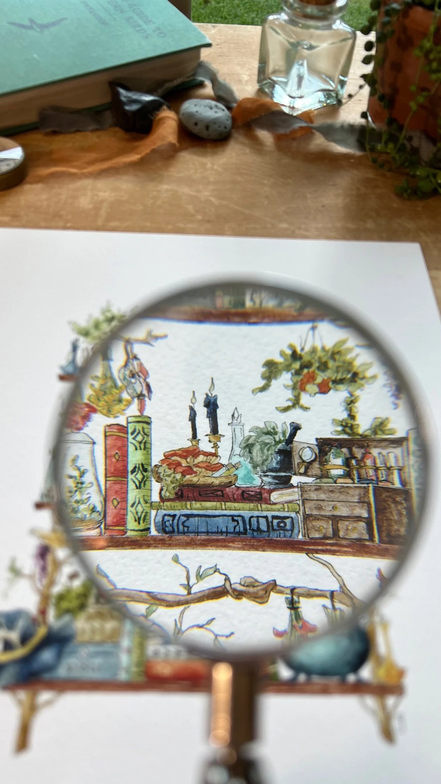 The Forest Witch's Shelves Giclée Print