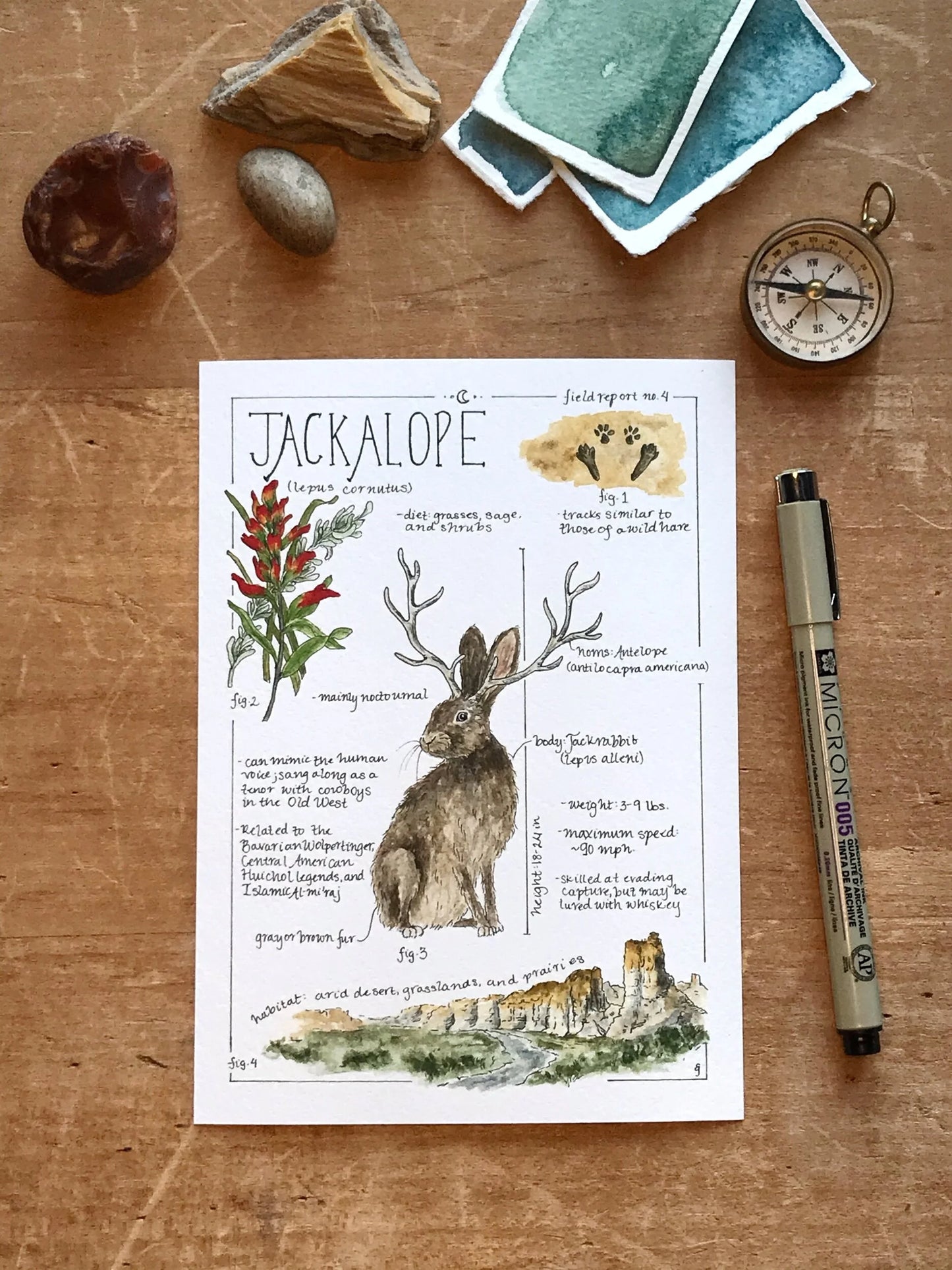 Jackalope Field Report Giclée Print