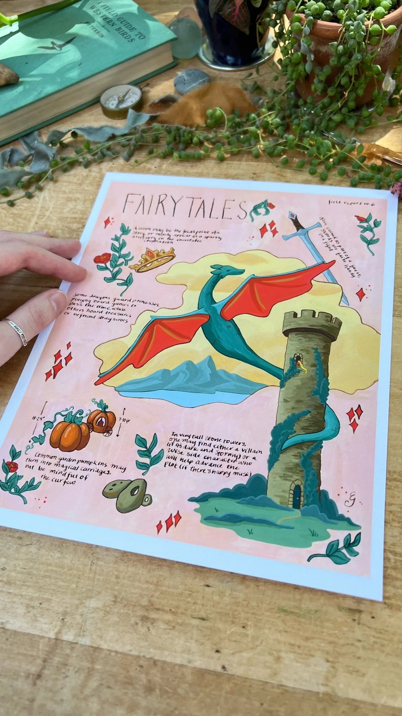 Fairytales Field Report Giclée Print