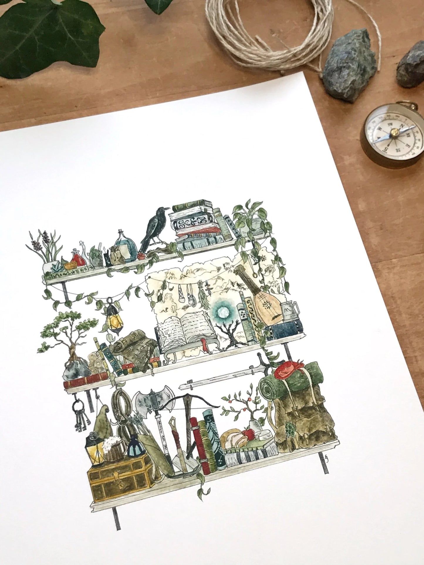 The Adventurer's Shelves Giclée Print