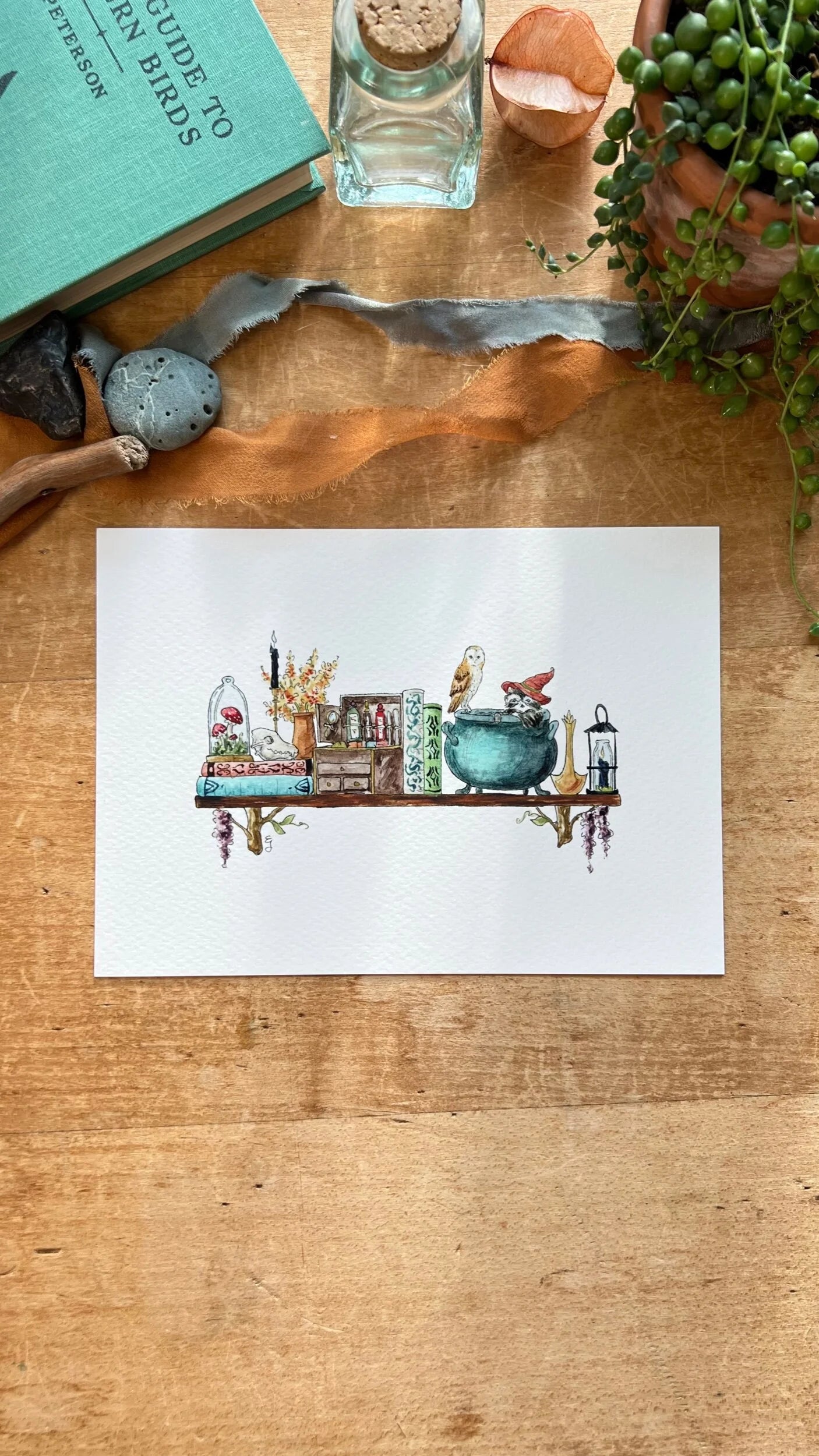 The Mini Forest Witch's Shelf Giclée Print