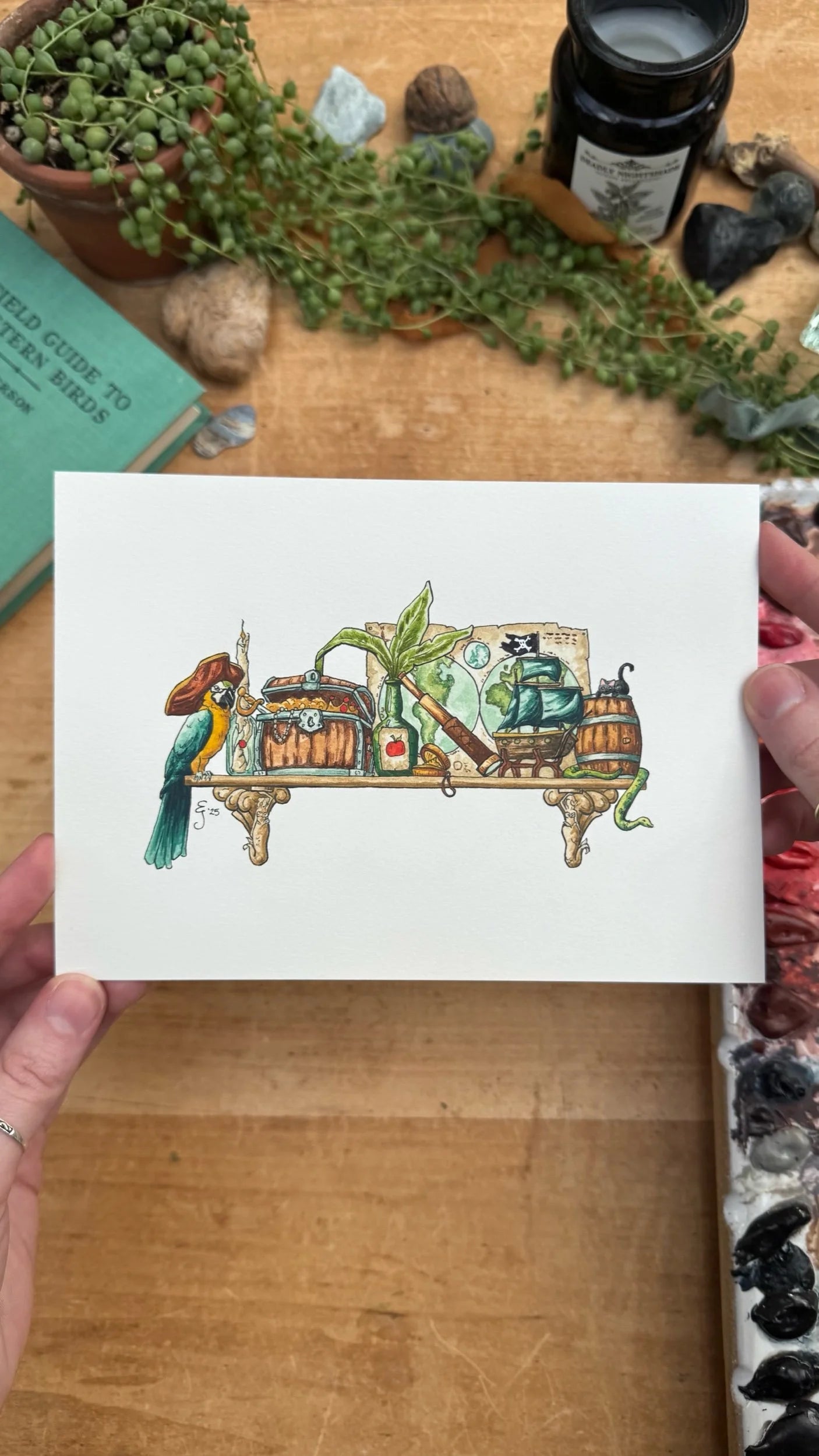 Original Mini Pirate's Shelf Illustration