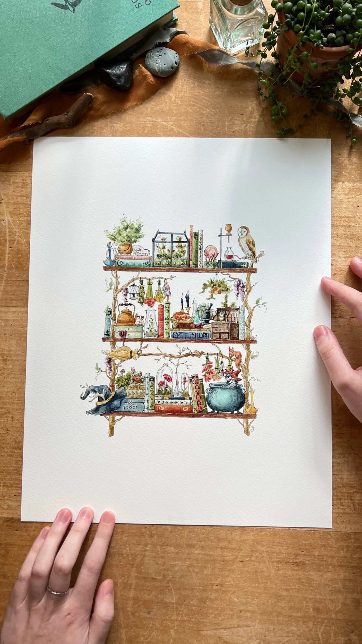 The Forest Witch's Shelves Giclée Print