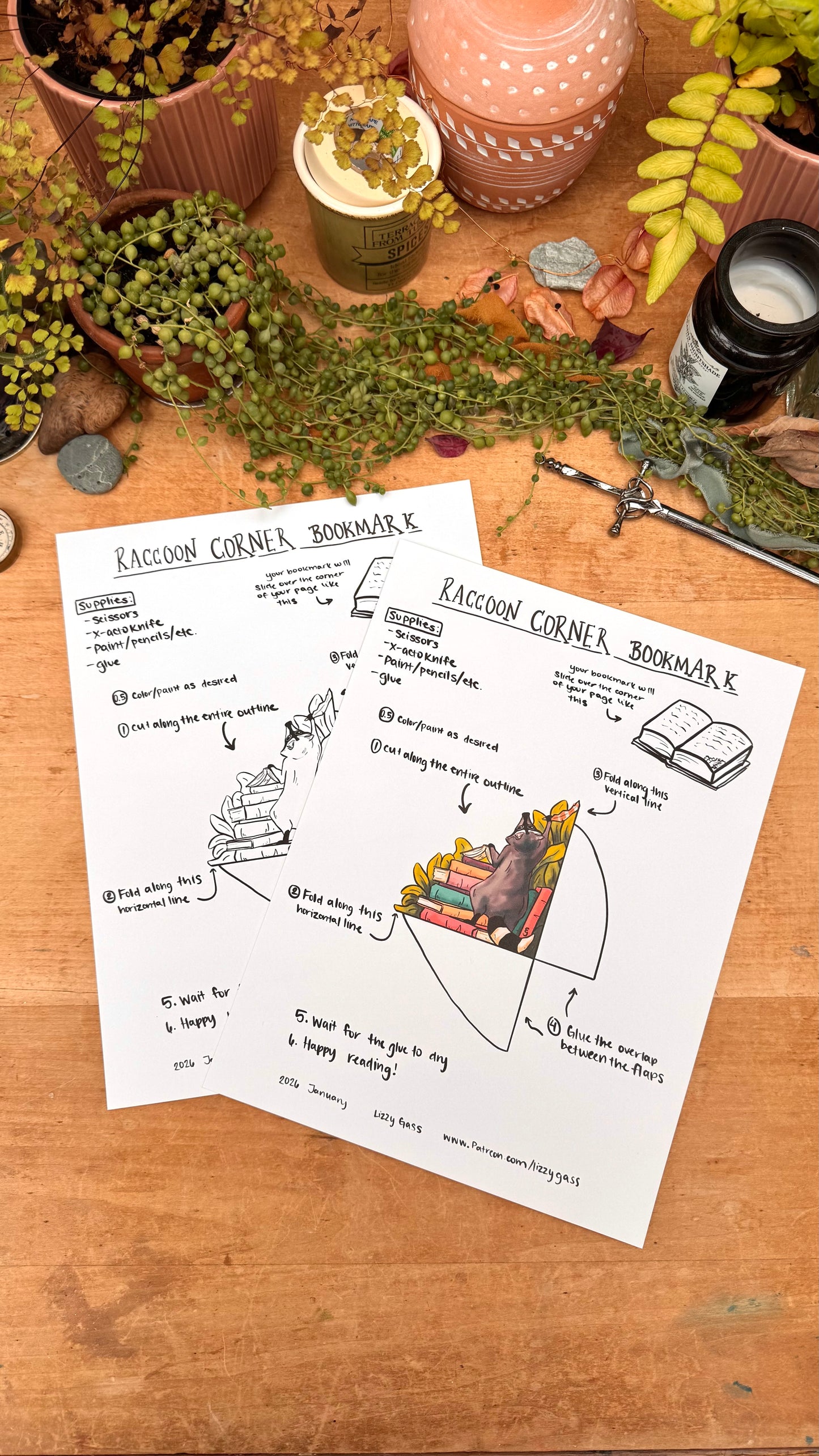 Raccoon Bookmark Digital Download Kit