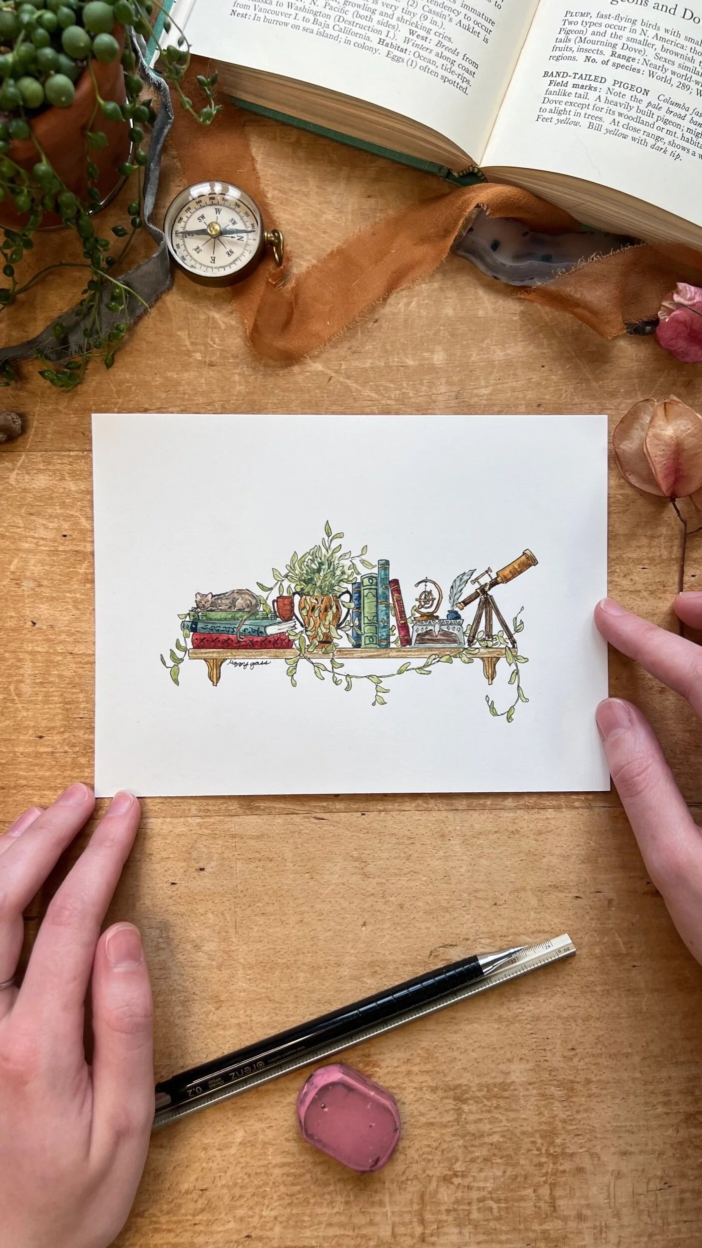 Framed Original Mini Astronomer's Shelf Illustration