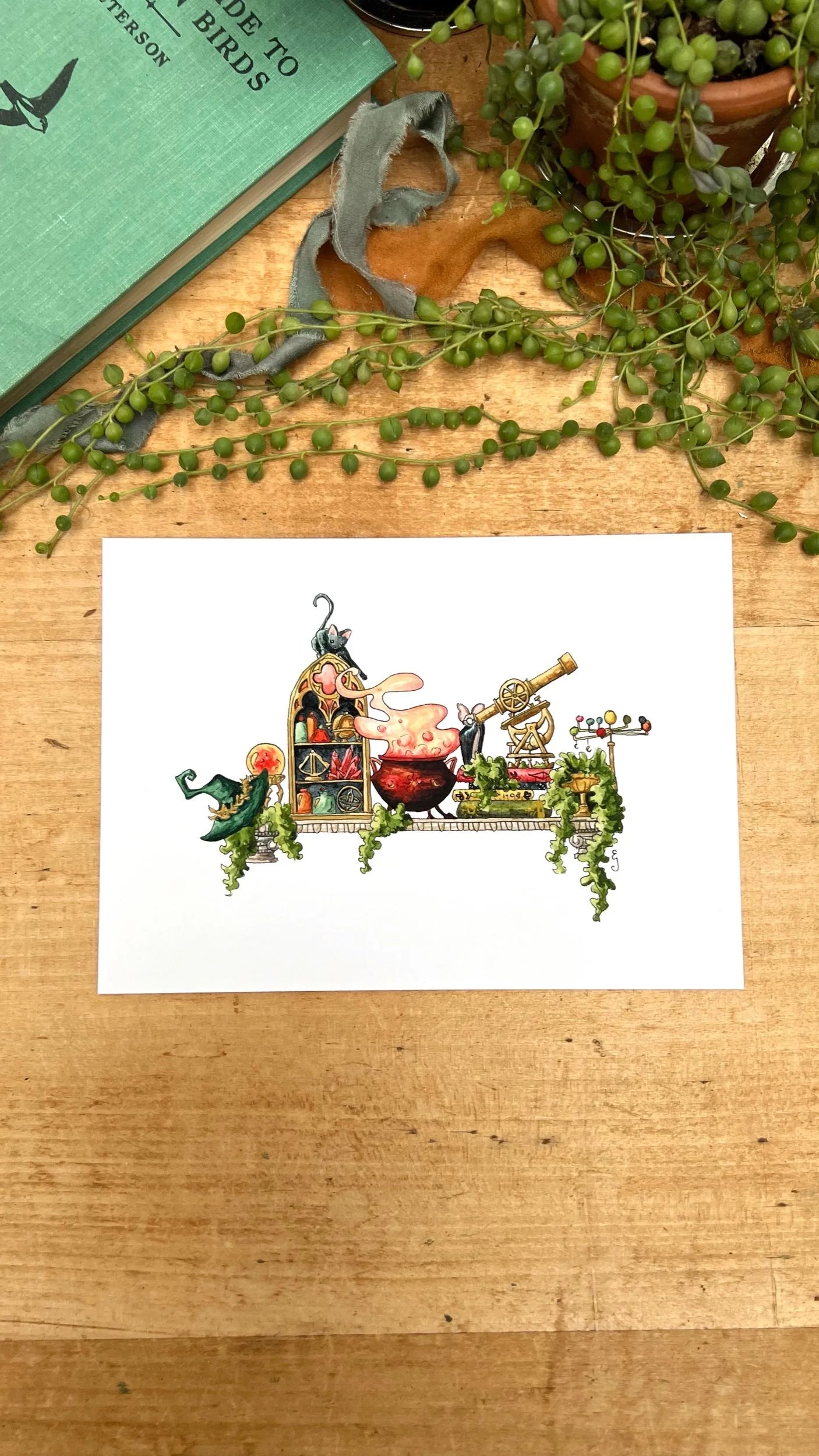 The Mini Celestial Witch's Shelf Giclée Print