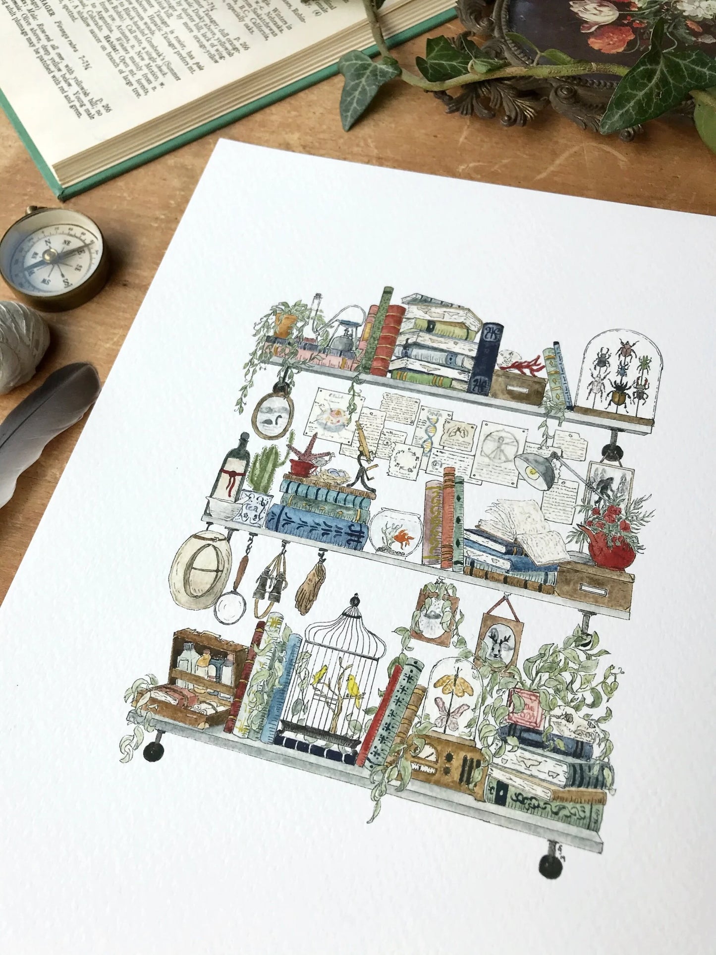 The Biologist's Shelves Giclée Print
