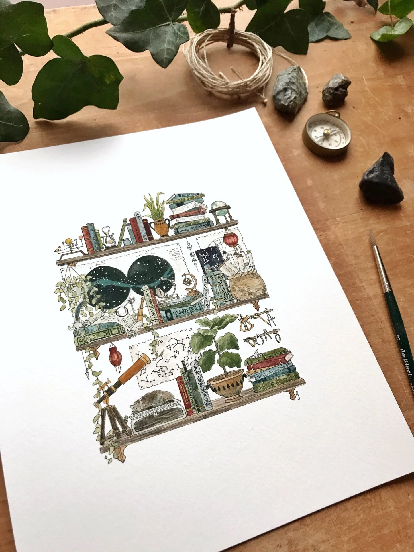 The Astronomer's Shelves Giclée Print