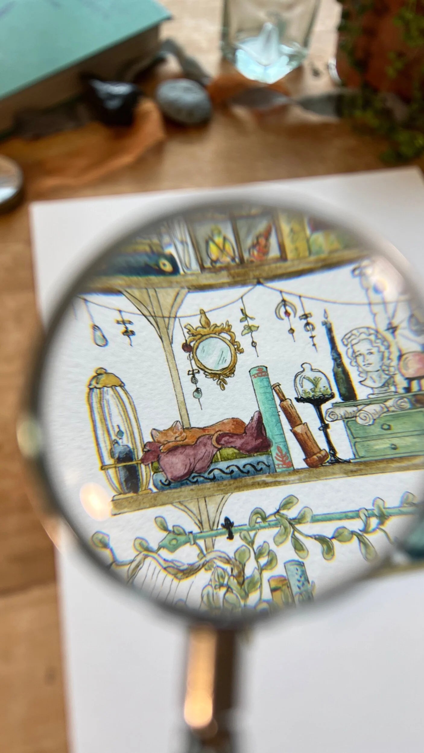 The Sea Witch's Shelves Giclée Print