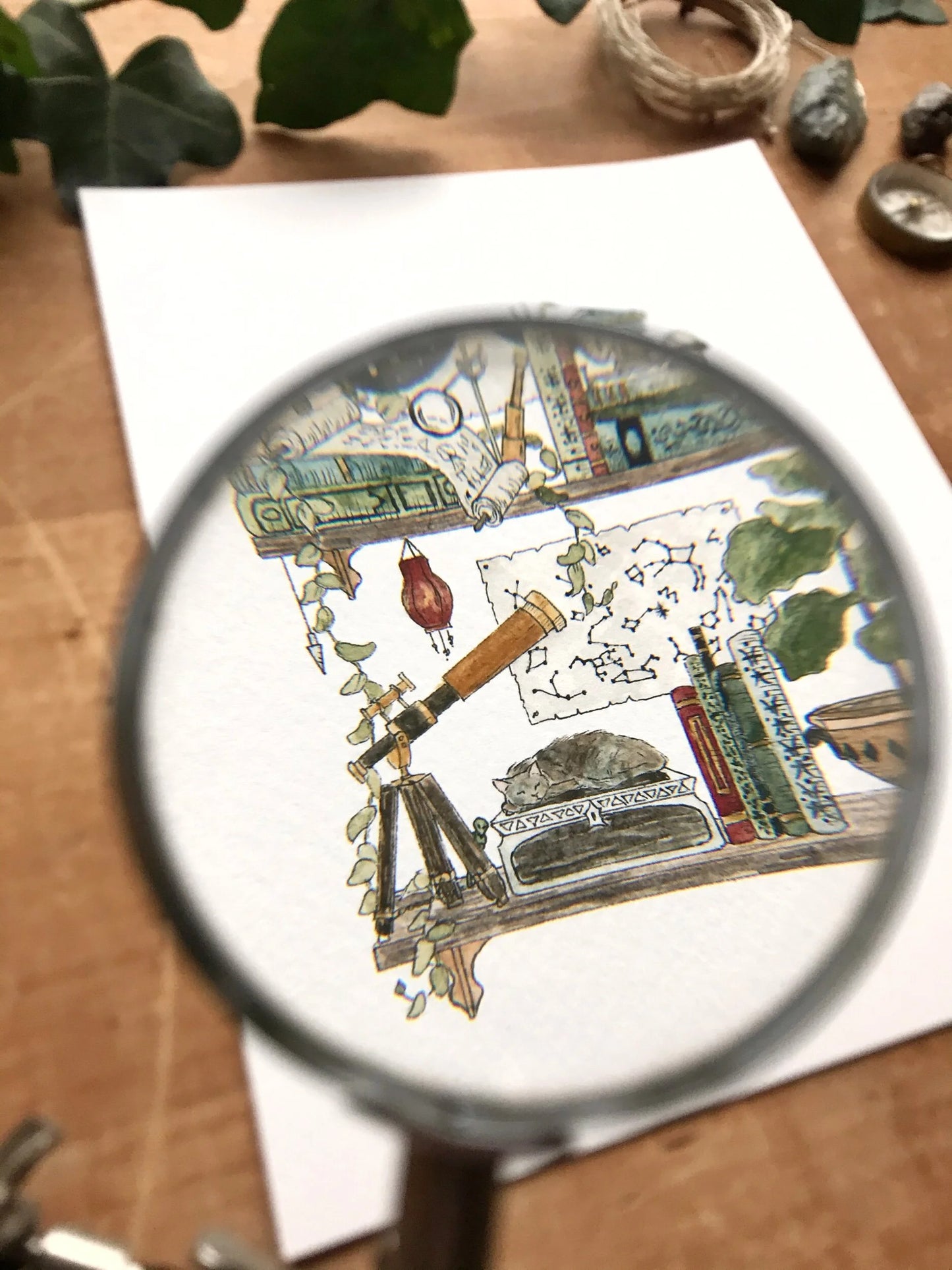 The Astronomer's Shelves Giclée Print