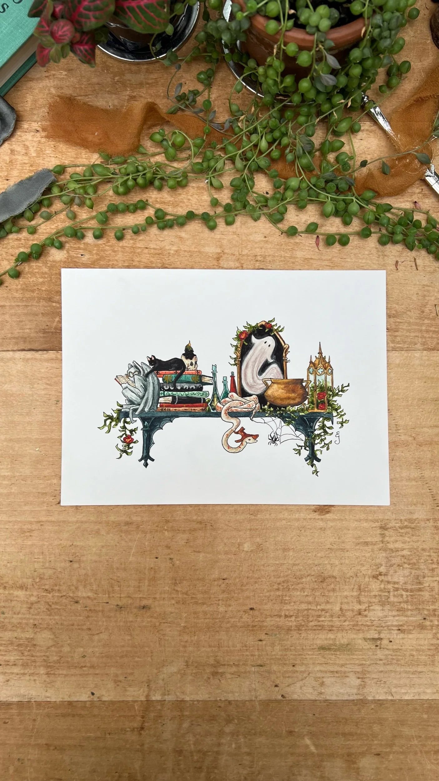Original Mini Gothic Witch's Shelf Illustration