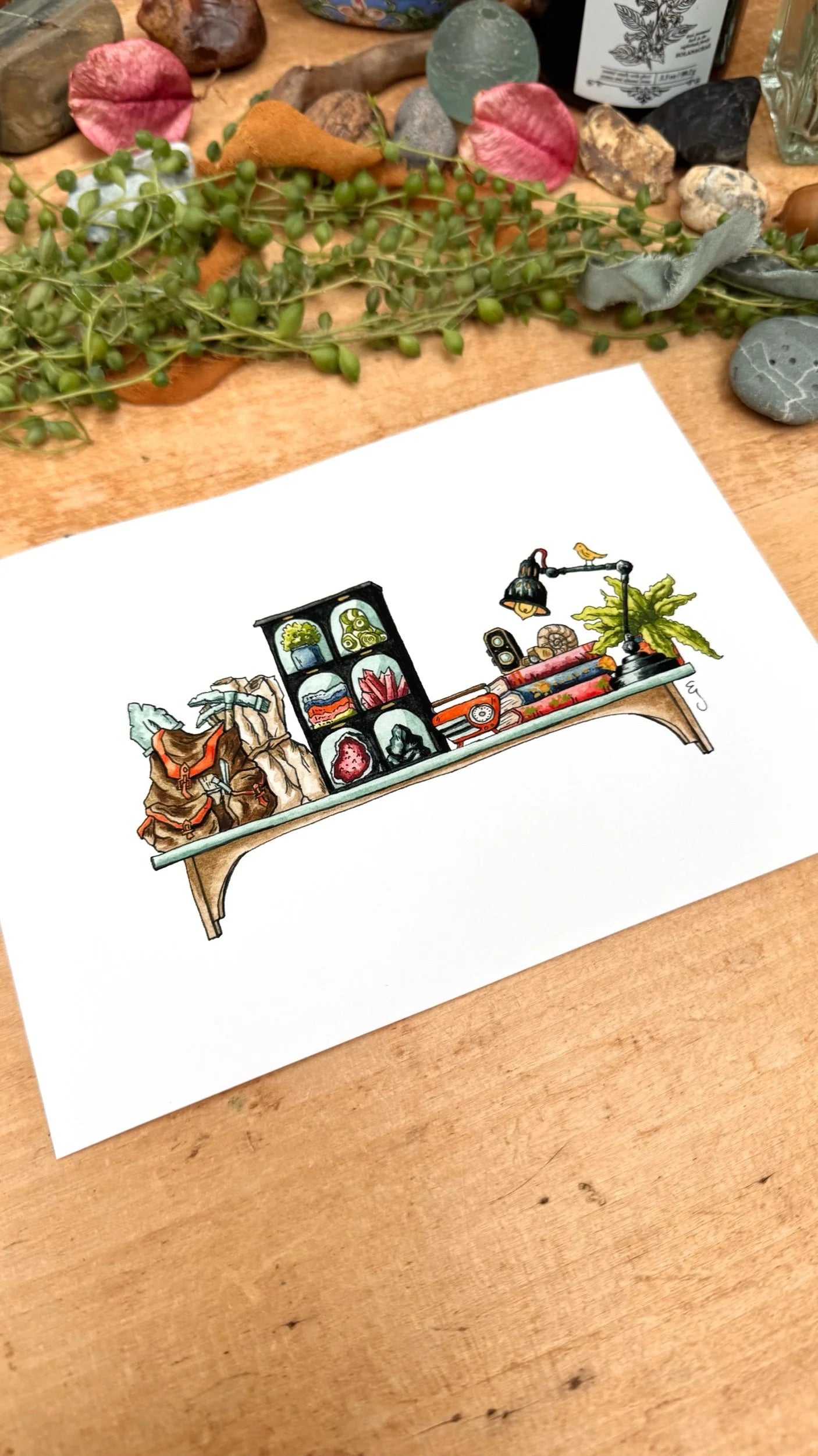 The Mini Geologist's Shelf Giclée Print