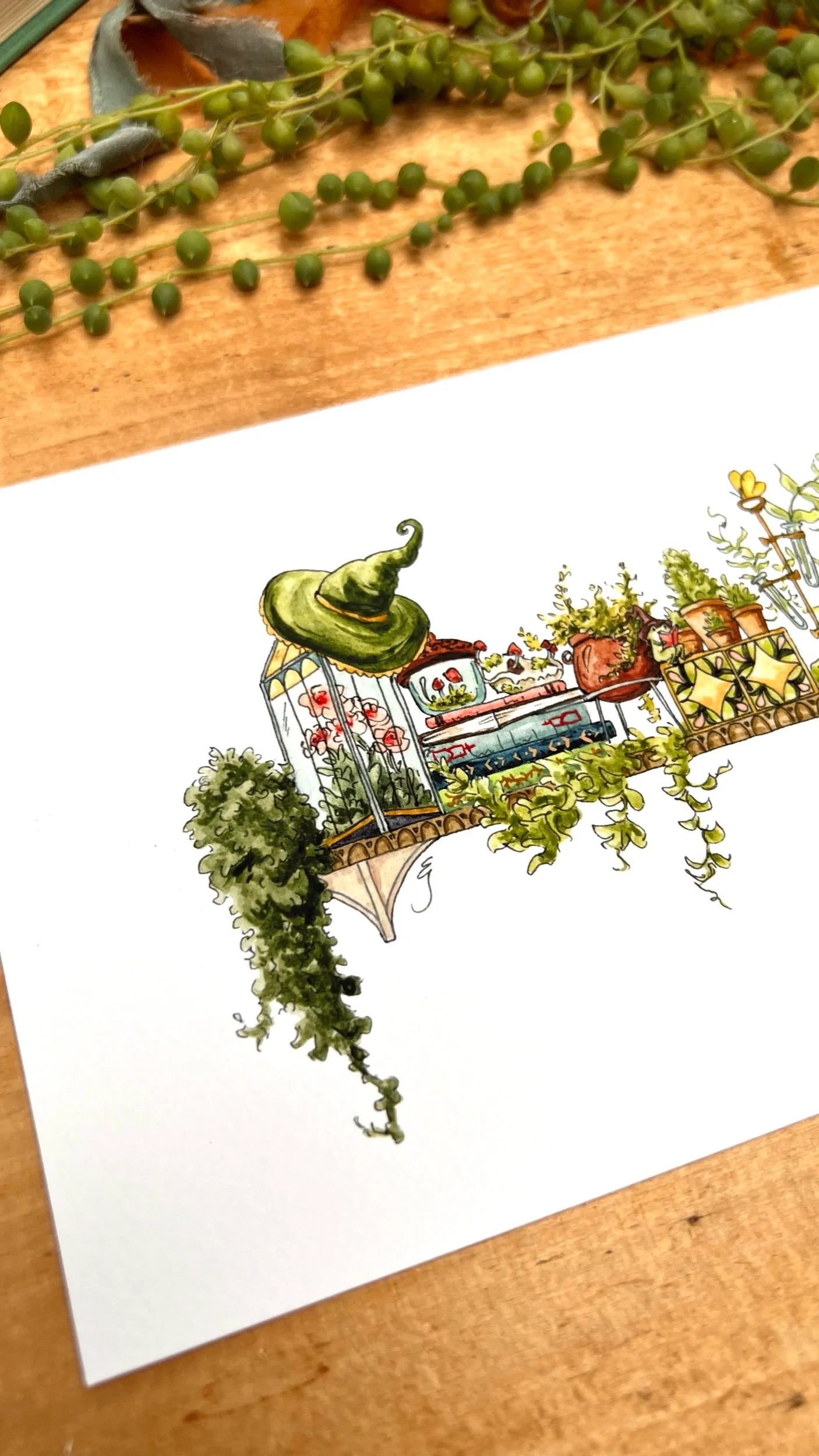 The Mini Garden Witch's Shelf Giclée Print