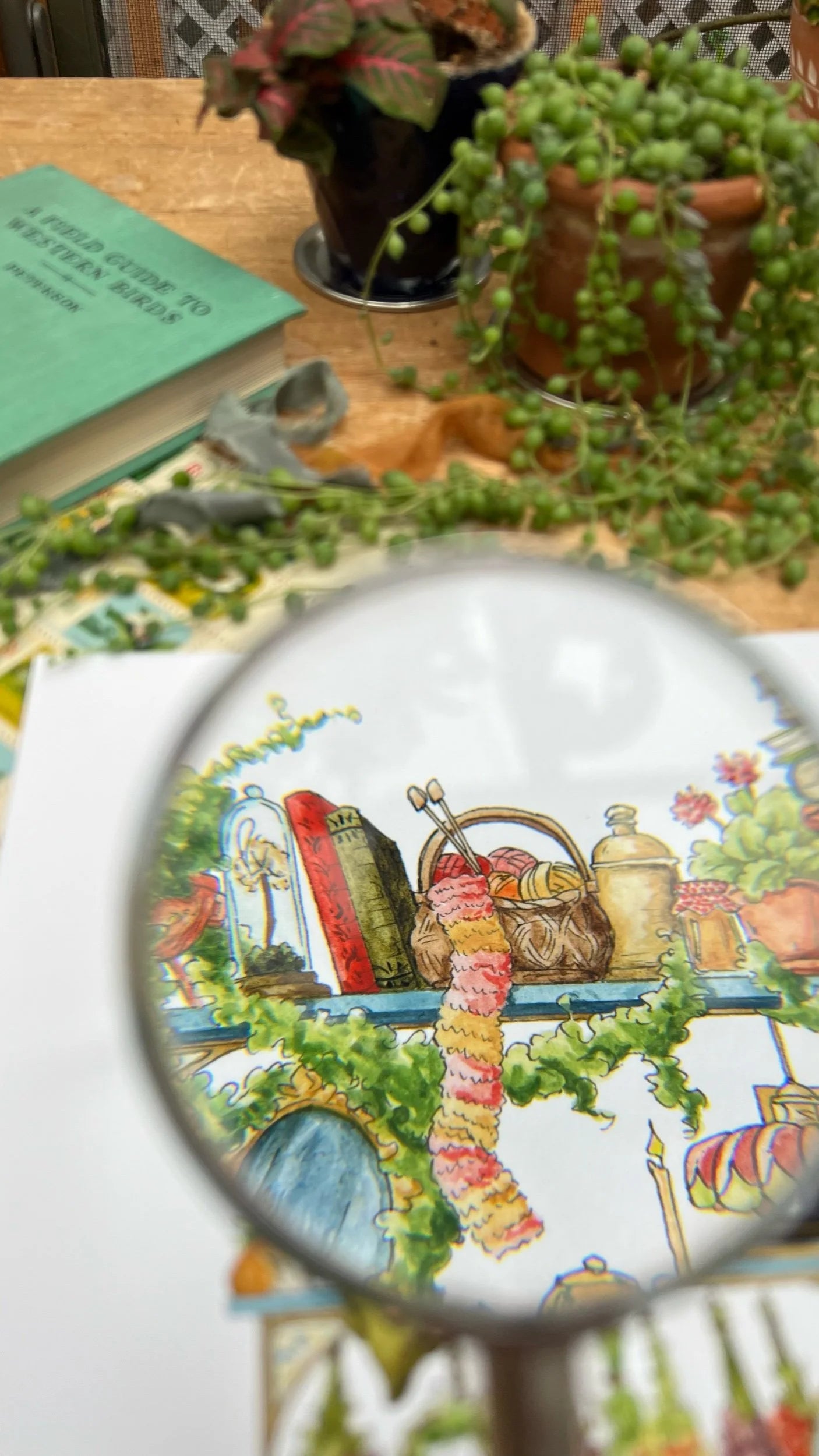 The Hedge Witch's Shelves Giclée Print