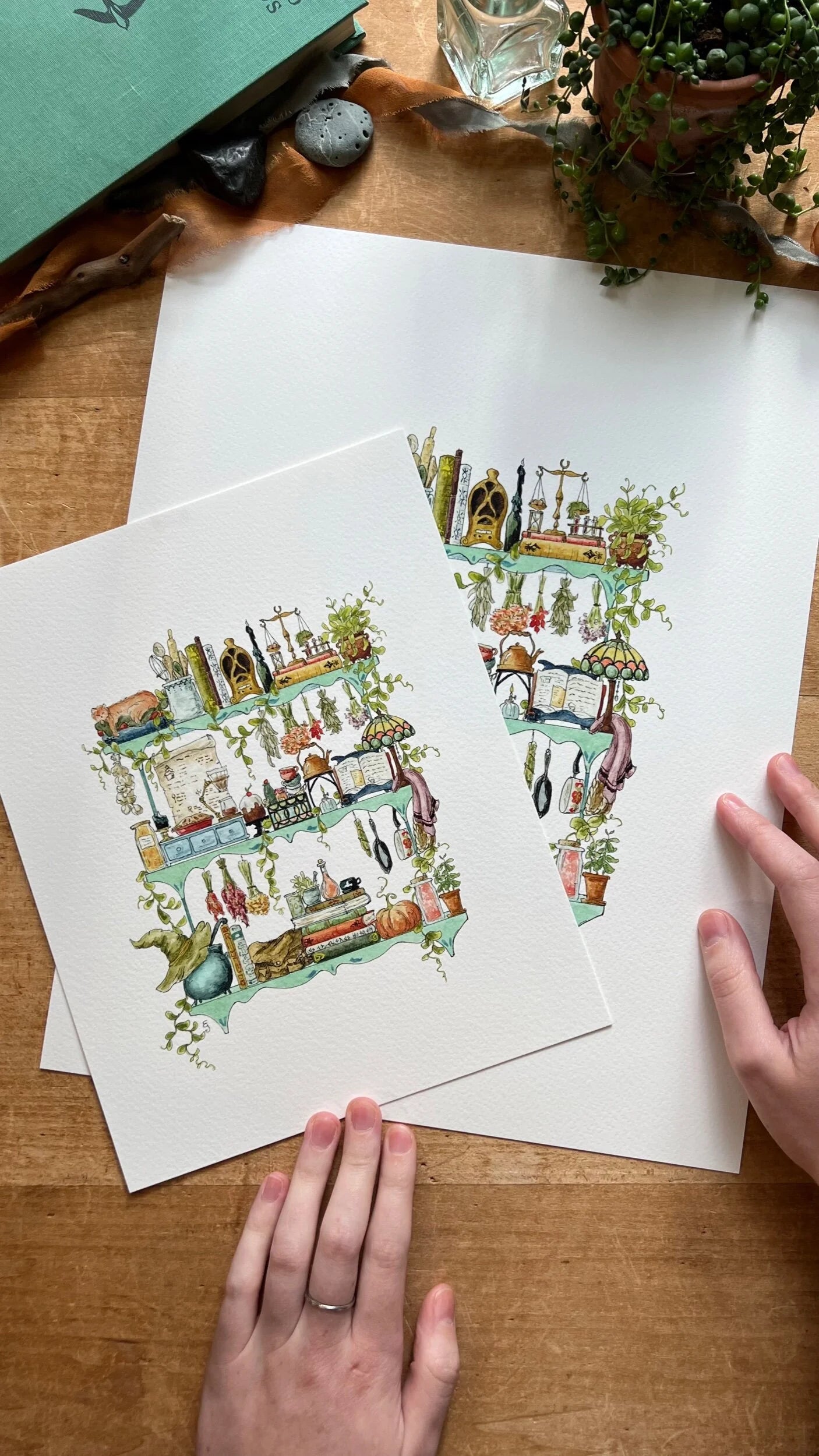 The Kitchen Witch's Shelves Giclée Print