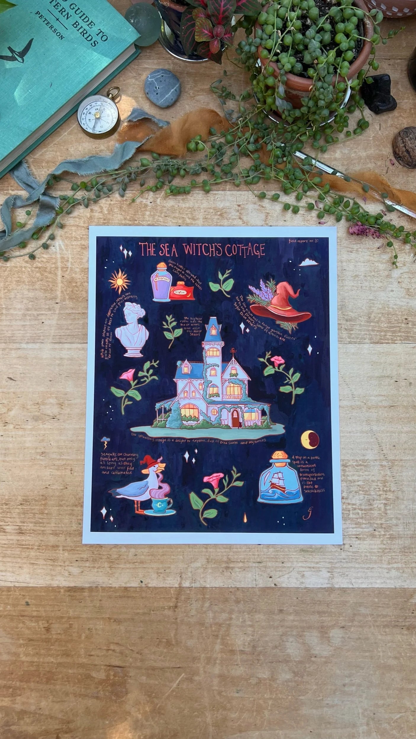 The Sea Witch's Cottage Field Report Giclée Print