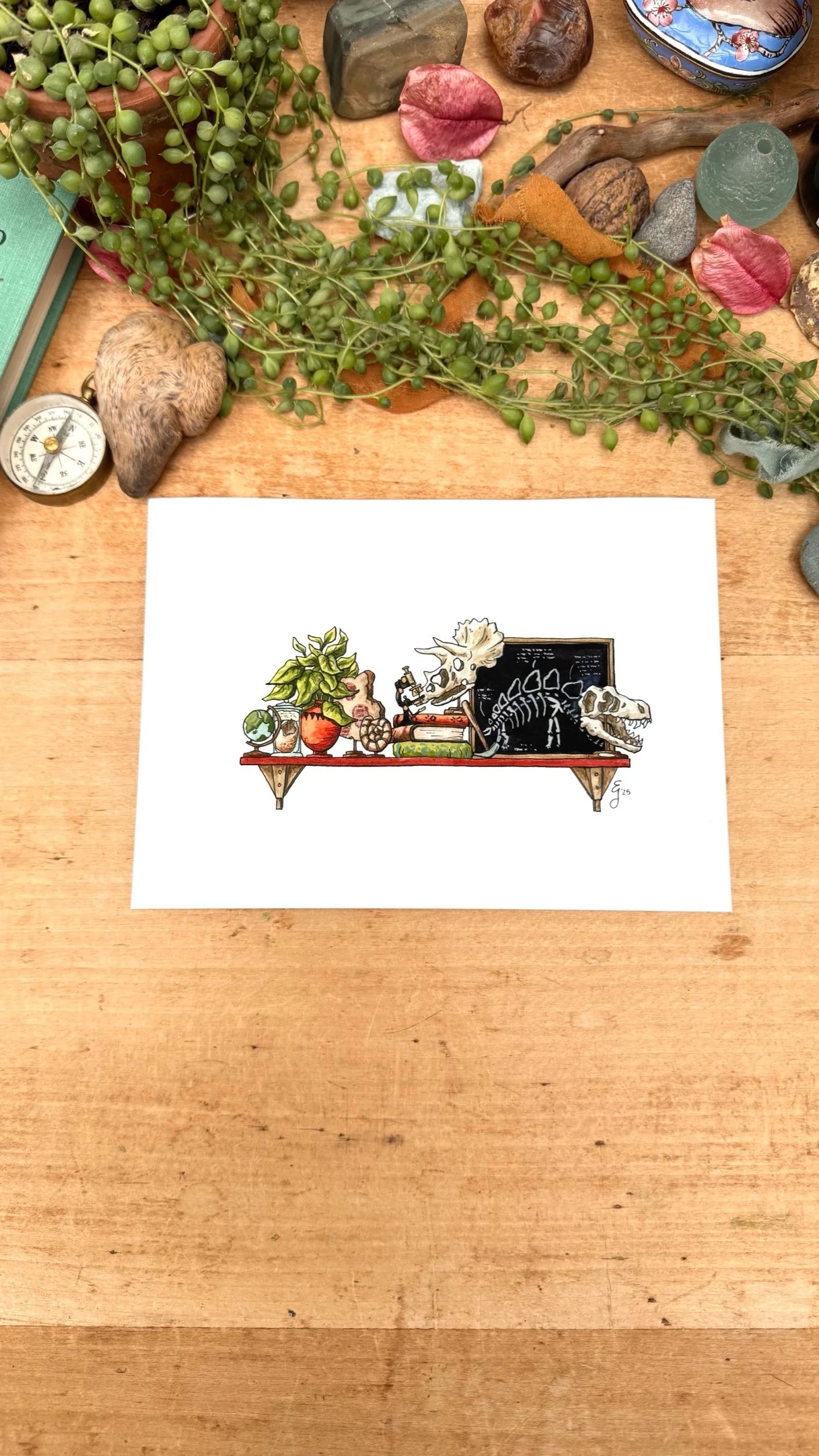 The Mini Paleontologist's Shelf Giclée Print