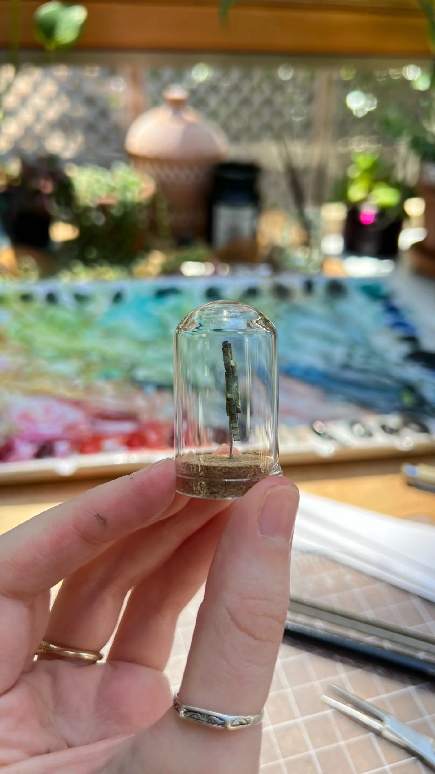 Jewel Scarab Beetle Dome