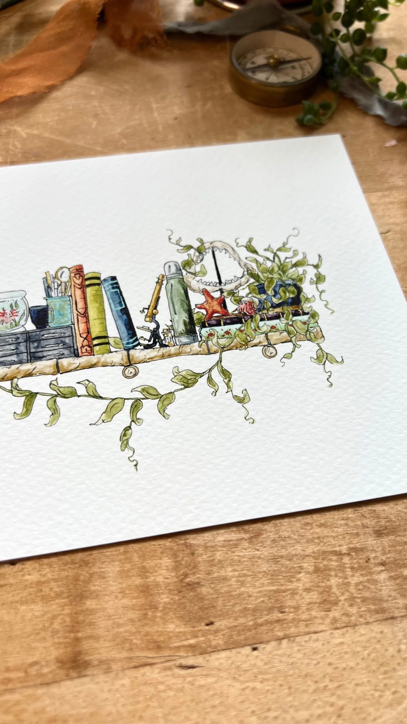 The Mini Marine Biologist's Shelf Giclée Print