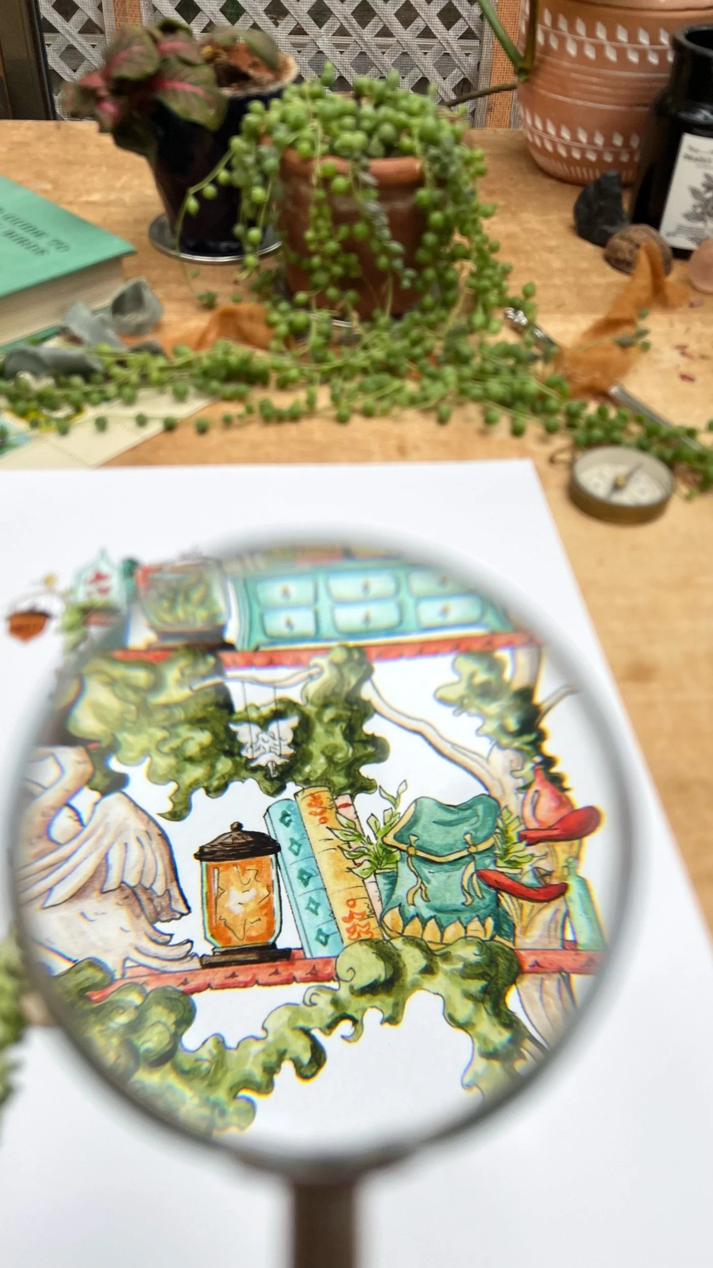 The Fairy Witch's Shelves Giclée Print