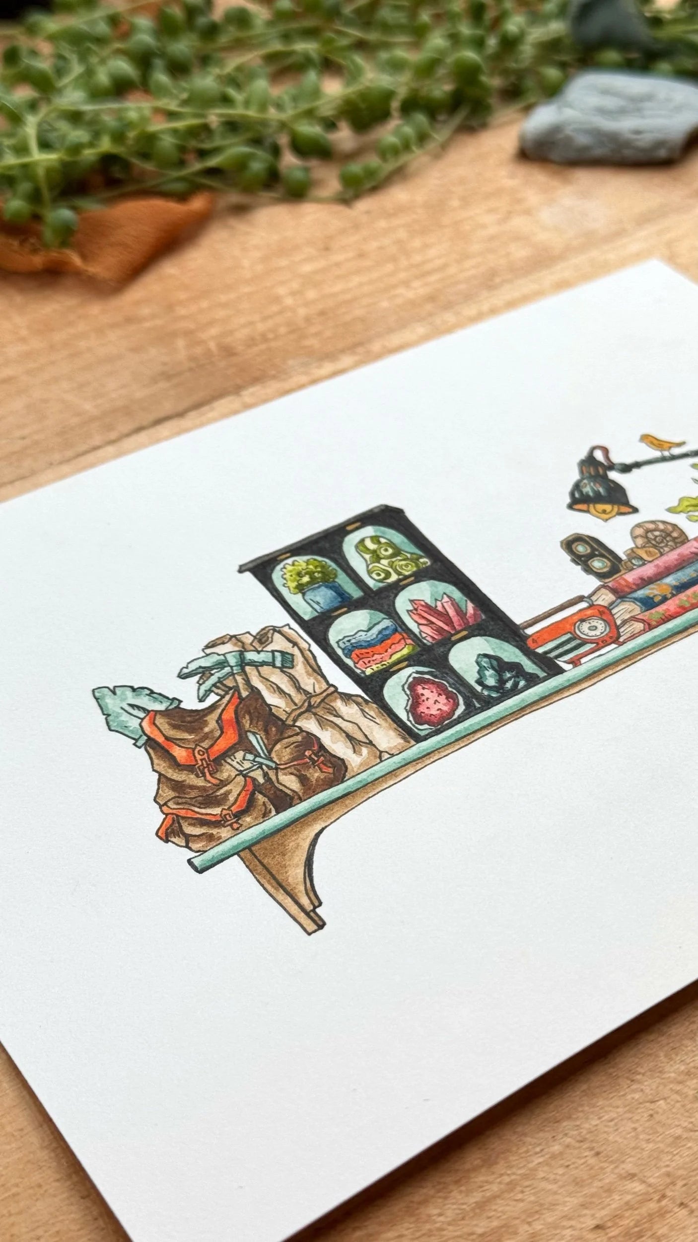 Original Mini Geologist's Shelf Illustration