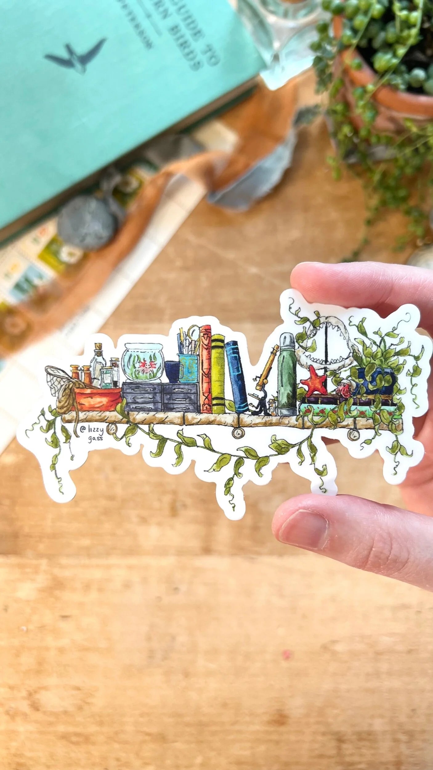 The Mini Marine Biologist's Shelf Sticker