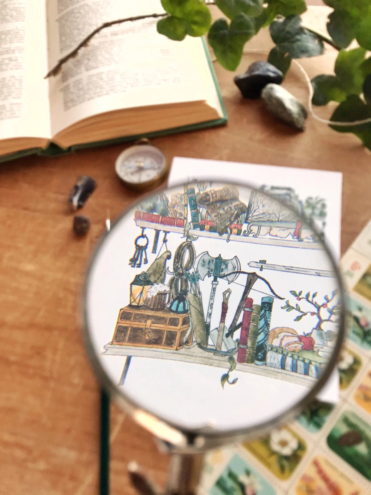 The Adventurer's Shelves Postcard