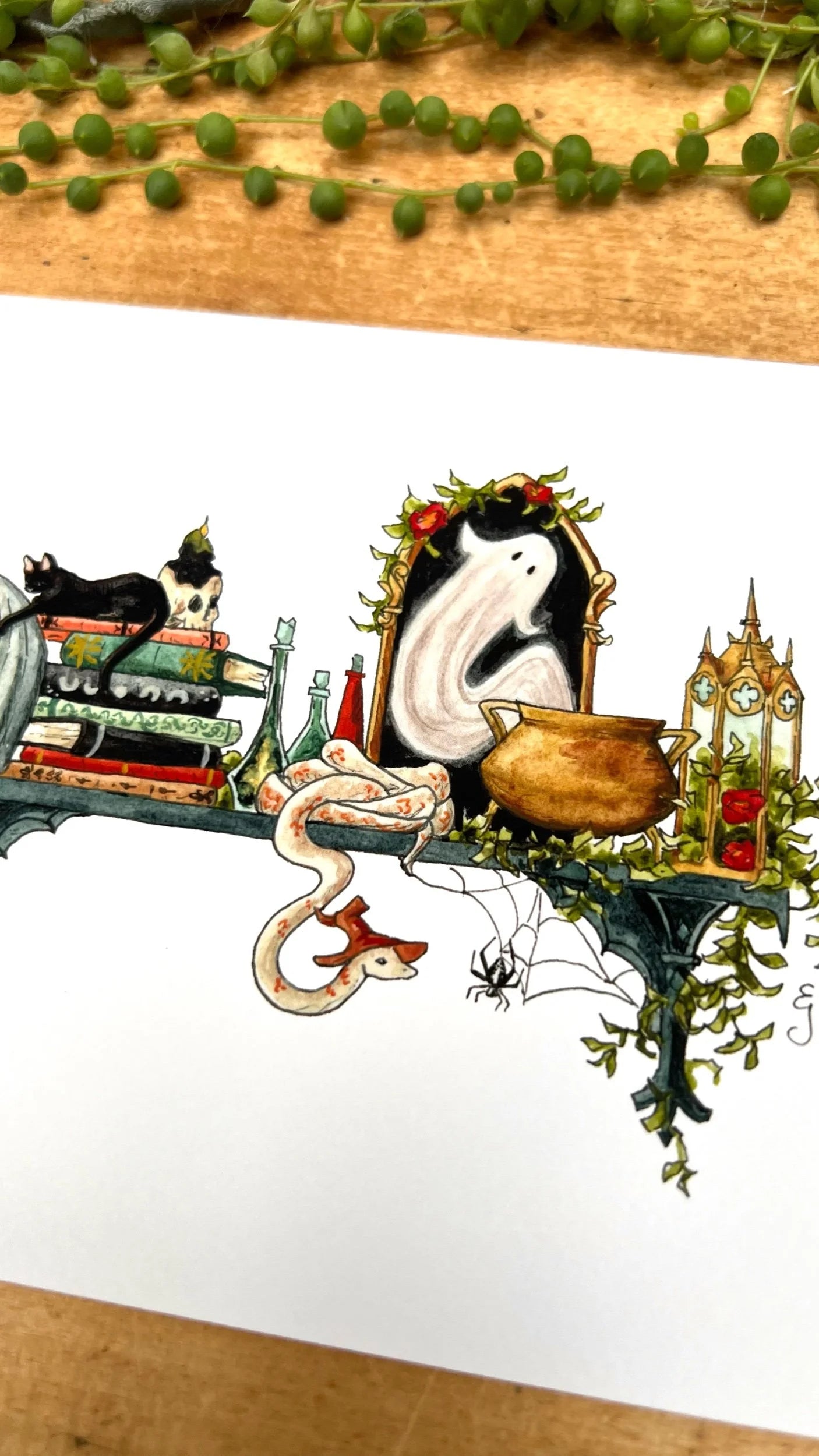 The Mini Gothic Witch's Shelf Giclée Print
