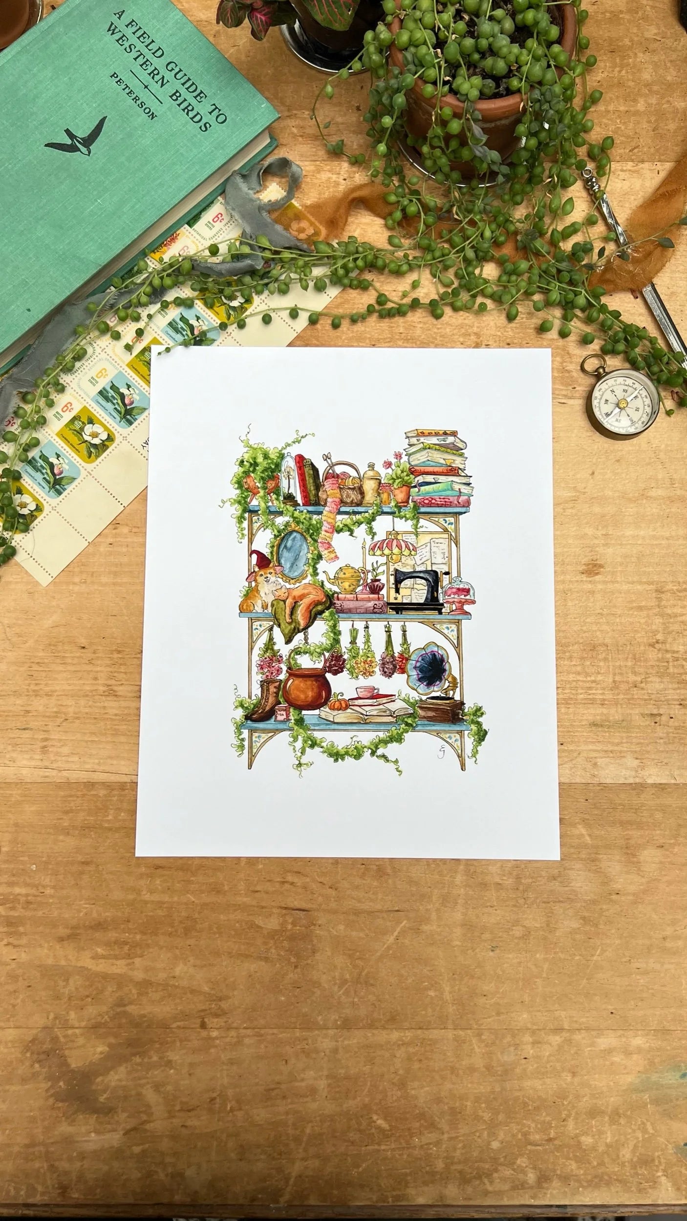The Hedge Witch's Shelves Giclée Print