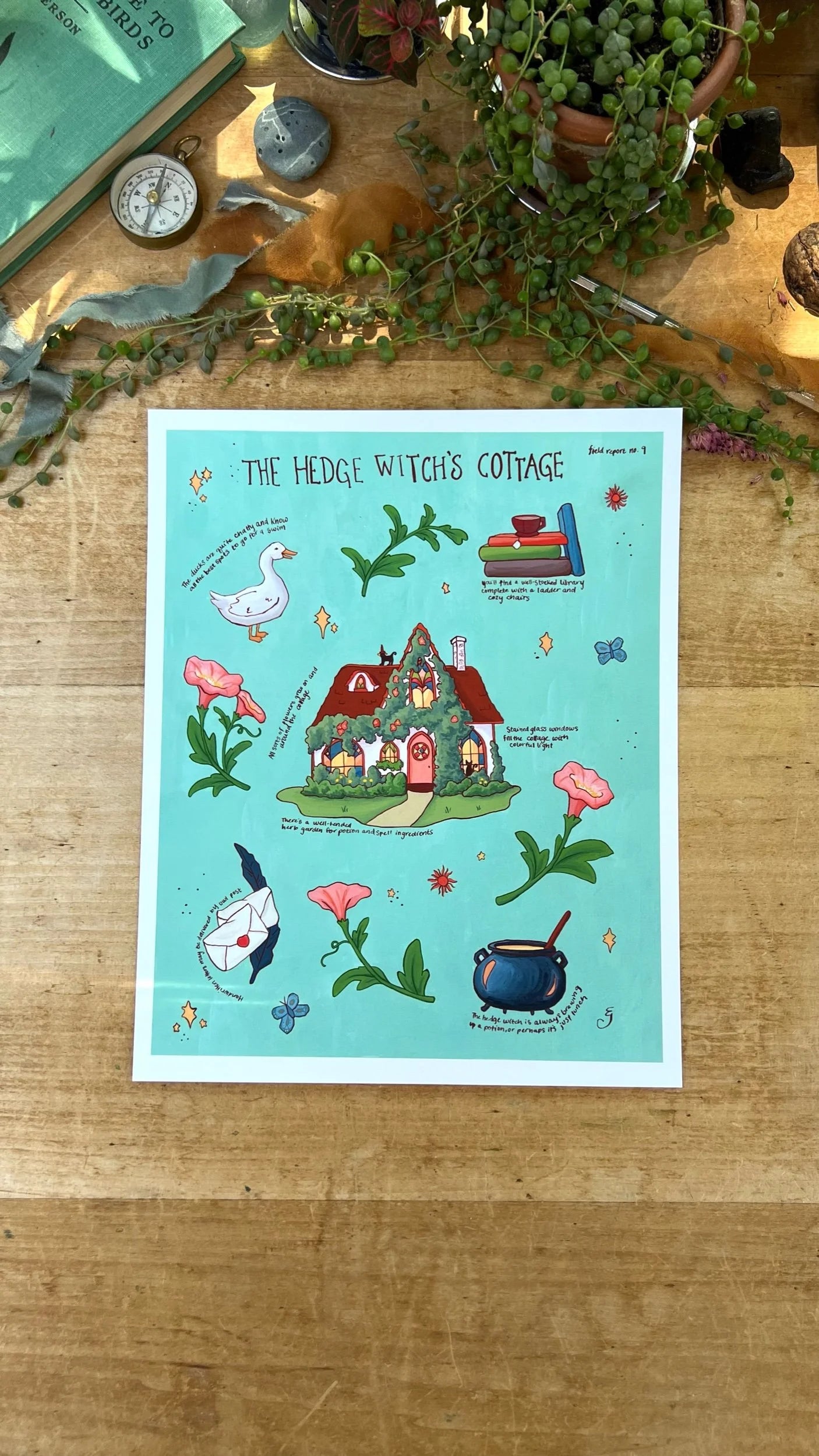 The Hedge Witch's Cottage Field Report Giclée Print