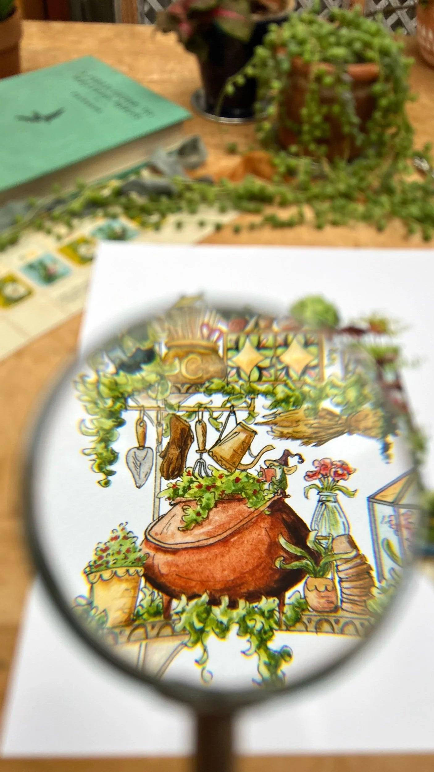The Garden Witch's Shelves Giclée Print