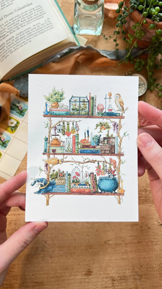 The Forest Witch's Shelves Postcard