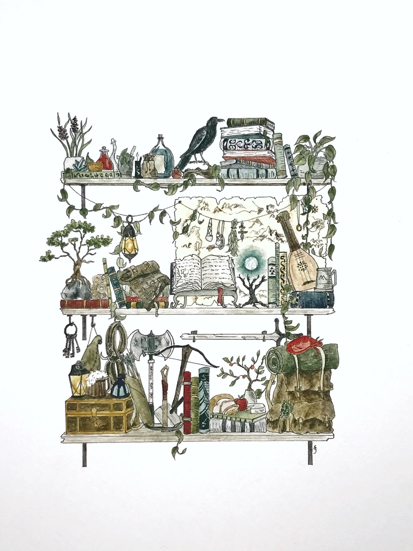 The Adventurer's Shelves Giclée Print